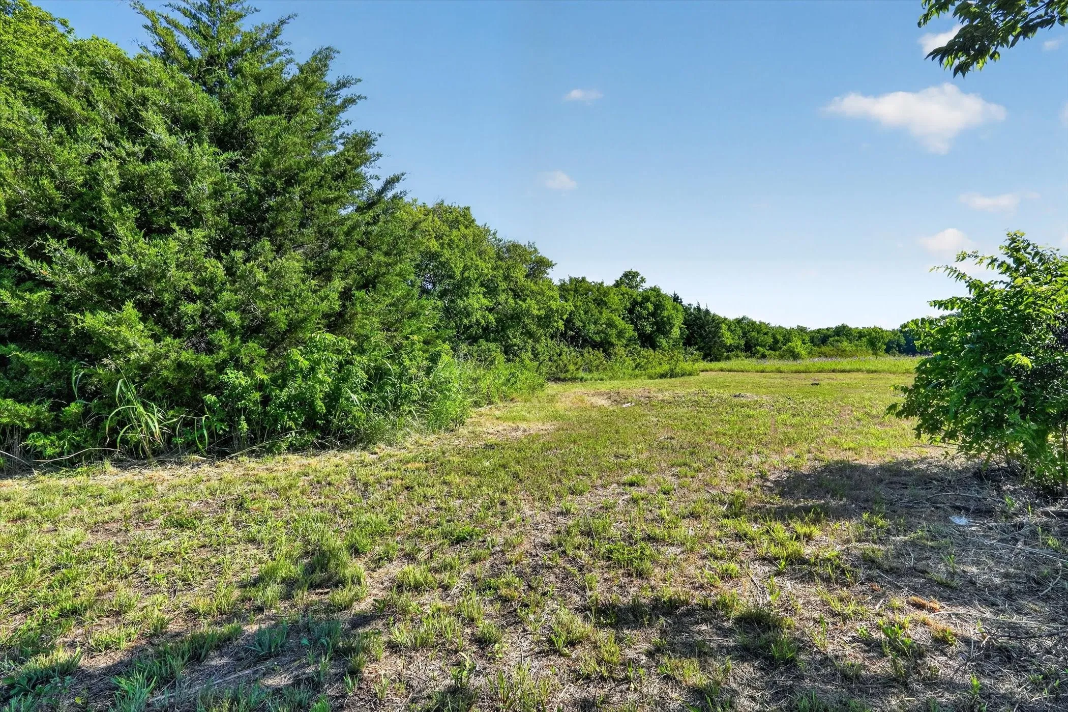Wooded acreage featuring mature trees and natural ground cover