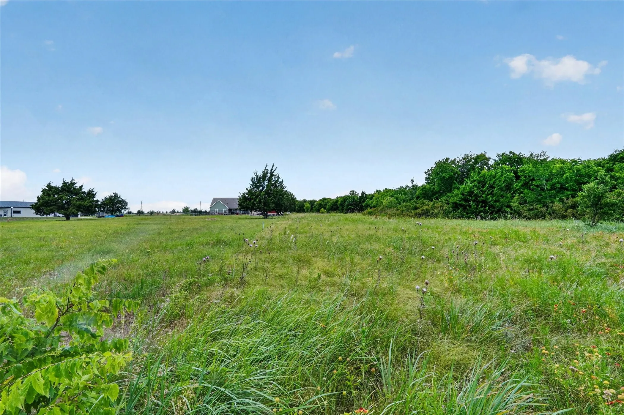 Expansive undeveloped land featuring varied grasses and natural flora