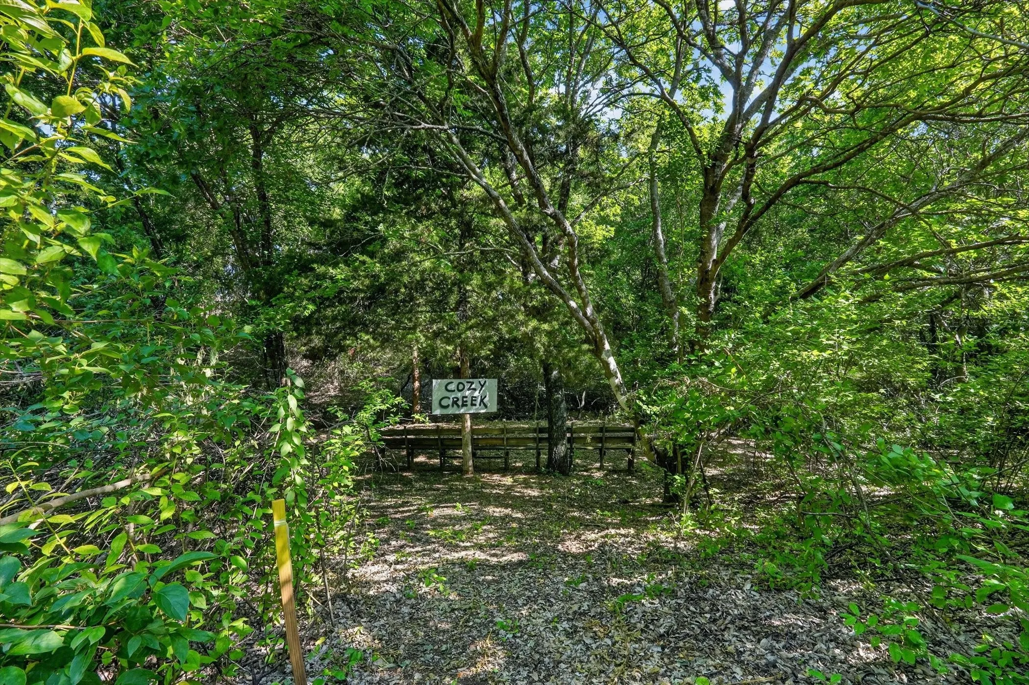 Wooded acreage featuring mature trees and natural ground cover