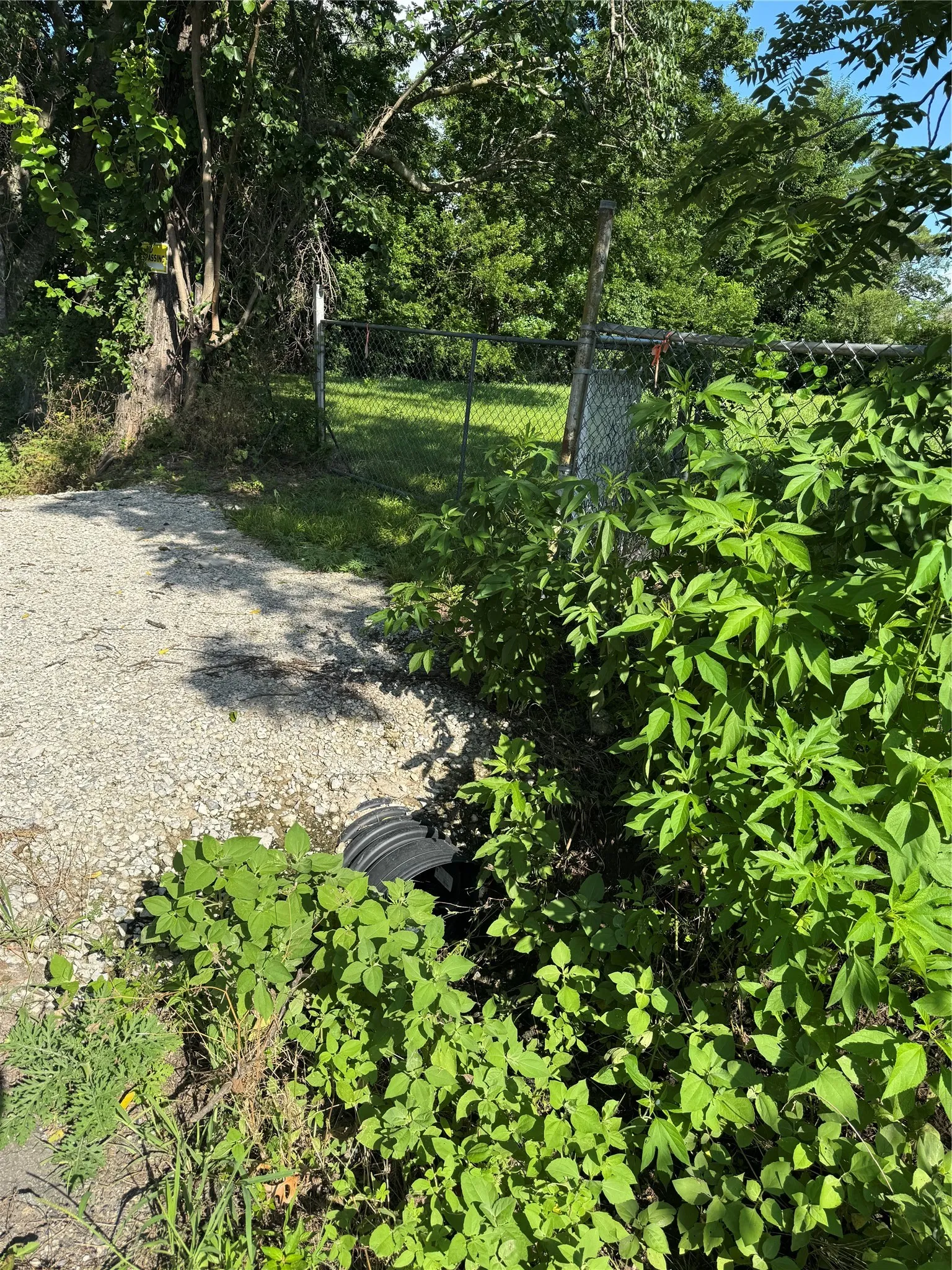 Improved Land For Sale in Fannin County , 602 Seven Oaks Road, Bonham, Texas 75418, 0, 0, Garage spaces, 0 Sqft, built in 0, mls#21306026, Real Estate Agent in Bonham, Homes For Sale in Fannin county, Homes For Sale in Bonham, Realtor in Bonham Texas, Real Estate Brokerage Independent Realty Texas, Luminita Cordes Realtor