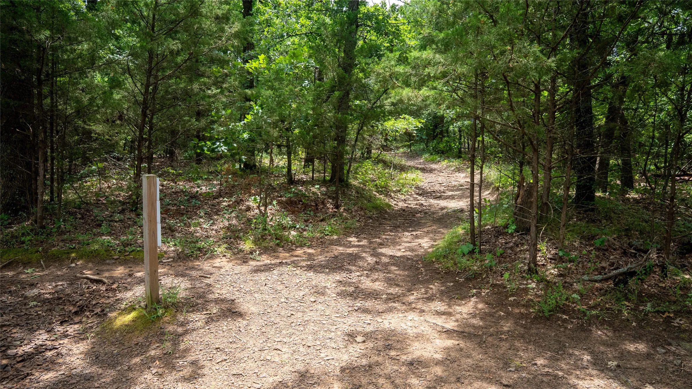 The Main Trail on the Property Leads to the Lake.