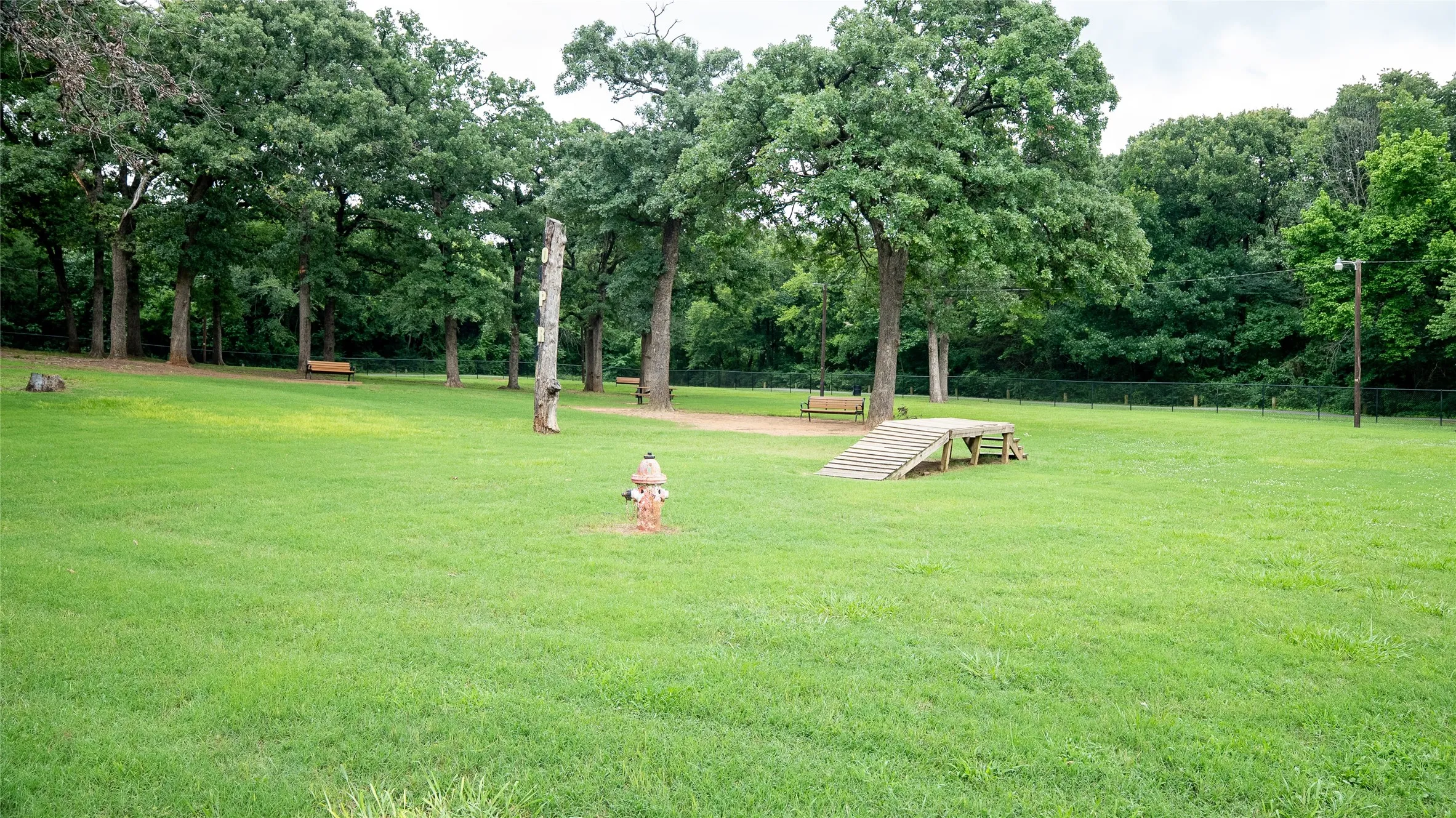 Ample Space for Pets to Play