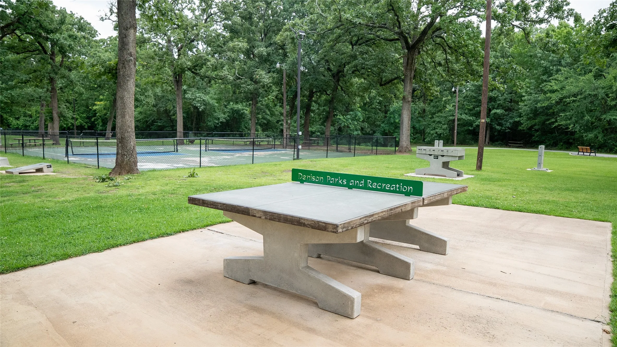 Table Tennis or Pickleball Anyone?