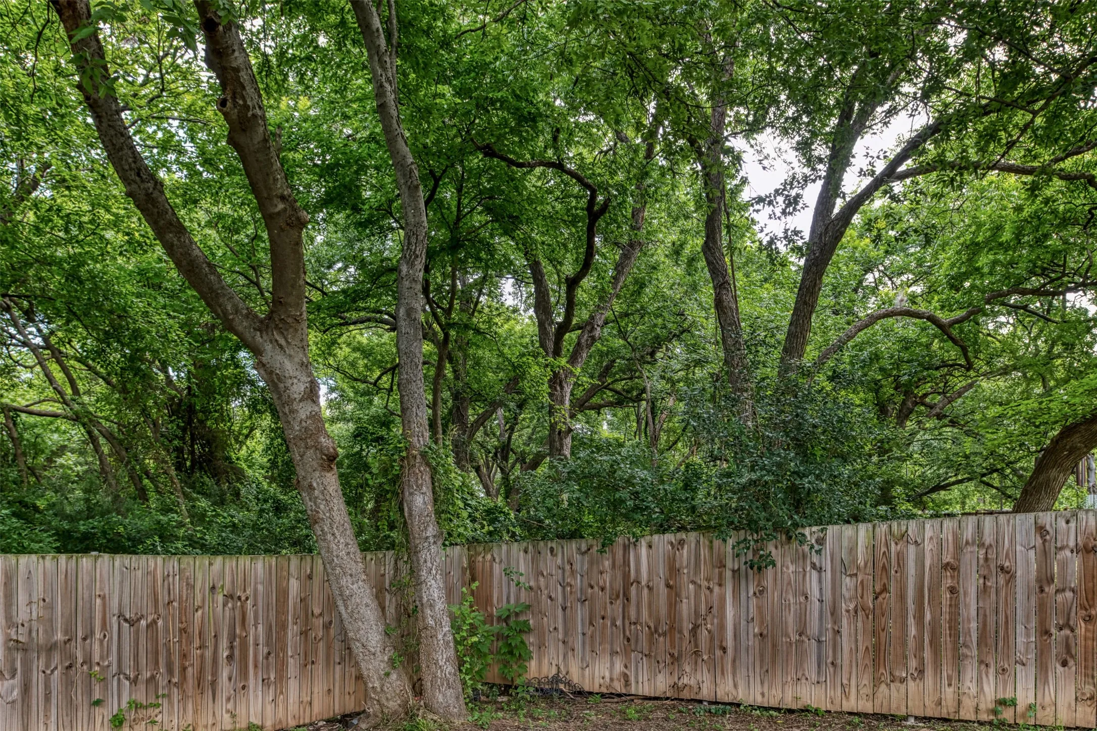 Single Family Residence For Sale in Dallas County , 2763 Prosperity Avenue, Dallas, Texas 75216, 3 Bedroom, 2 Bathroom, 2 Garage spaces, 1,476 Sqft, built in 2021, mls#21295138, Real Estate Agent in Dallas, Homes For Sale in Dallas county, Homes For Sale in Dallas, Realtor in Dallas Texas, Real Estate Brokerage Independent Realty Texas, Luminita Cordes Realtor