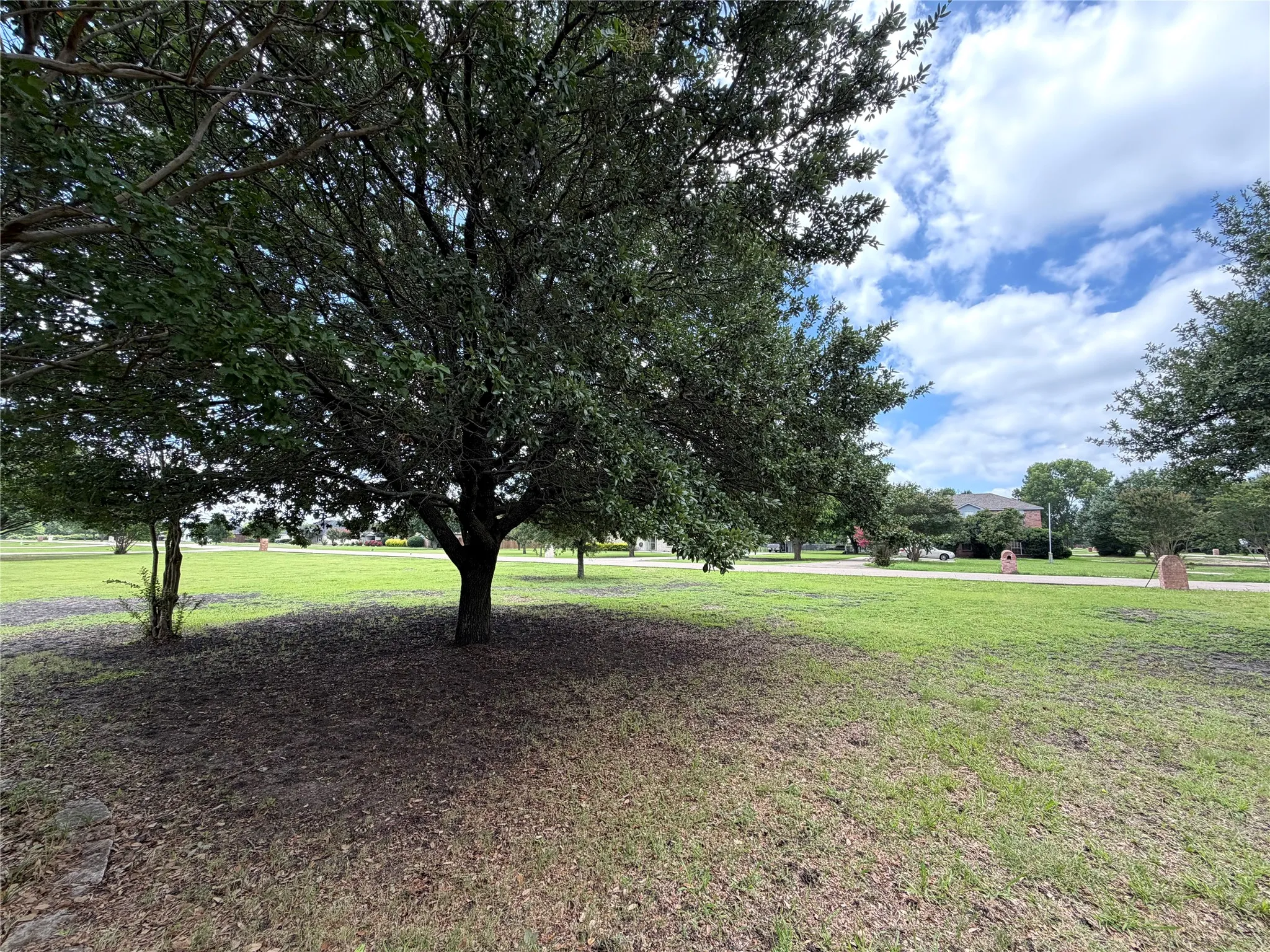 Expansive lawn with mature trees providing ample shade