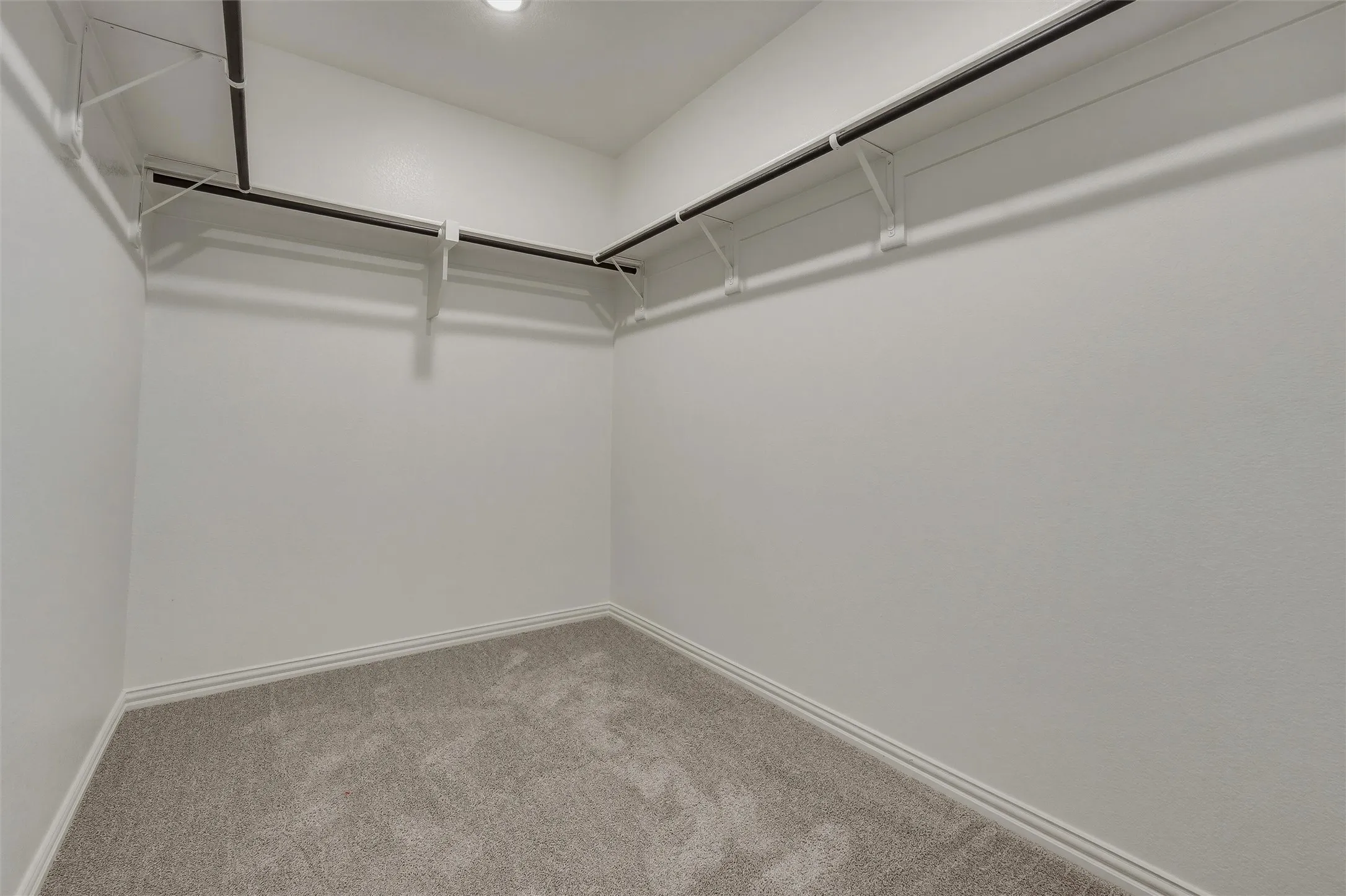 Walk-in closet with carpet flooring and built-in shelving