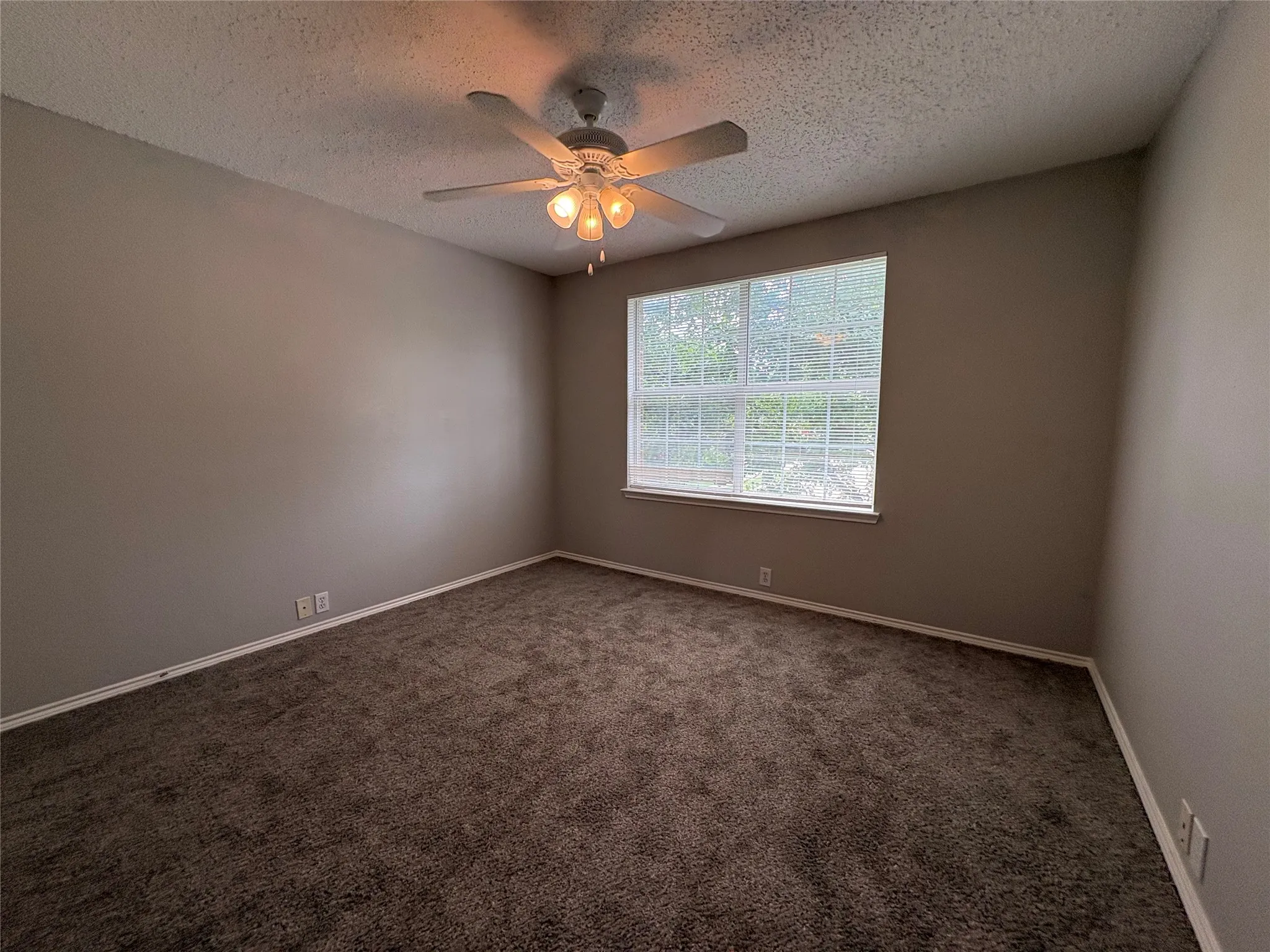 Neutral tone wall paint, dark pile carpet, white baseboards, and a window with white sashes