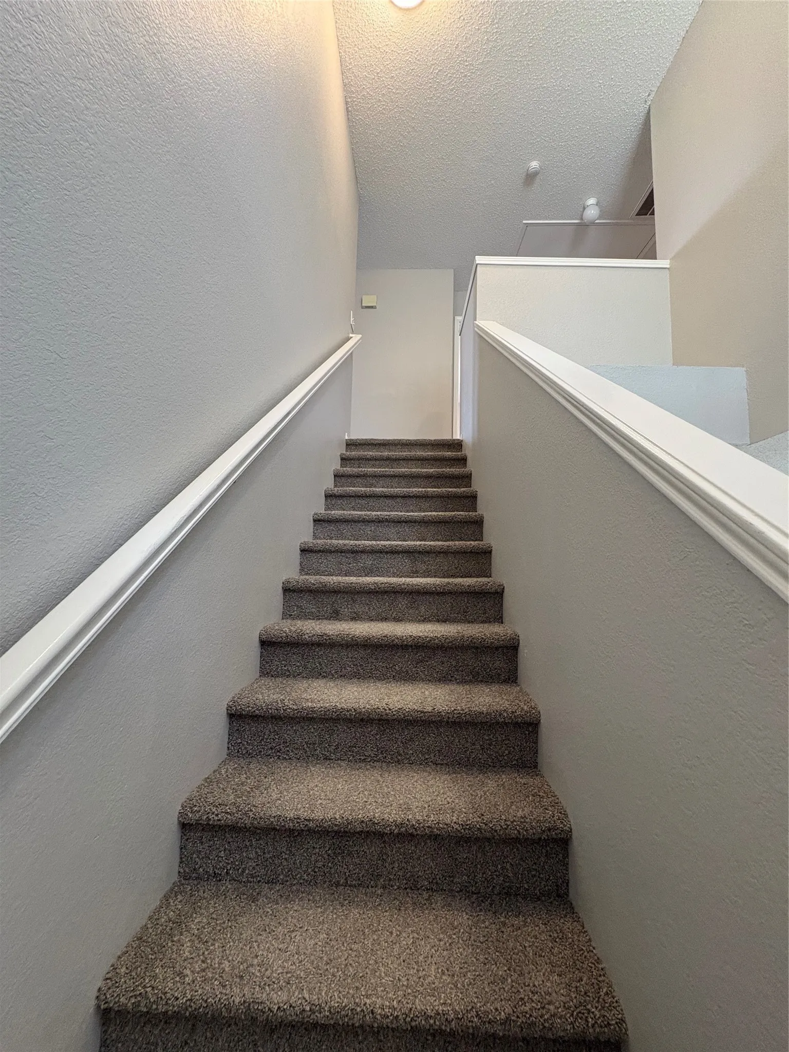 Carpeted staircase featuring white handrails and neutral-toned walls