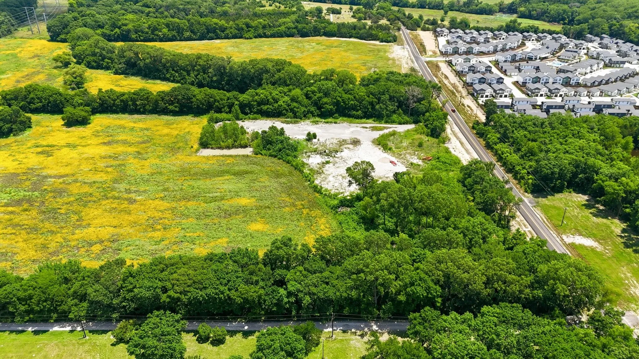 Expansive undeveloped land with abundant natural foliage and a visible paved road