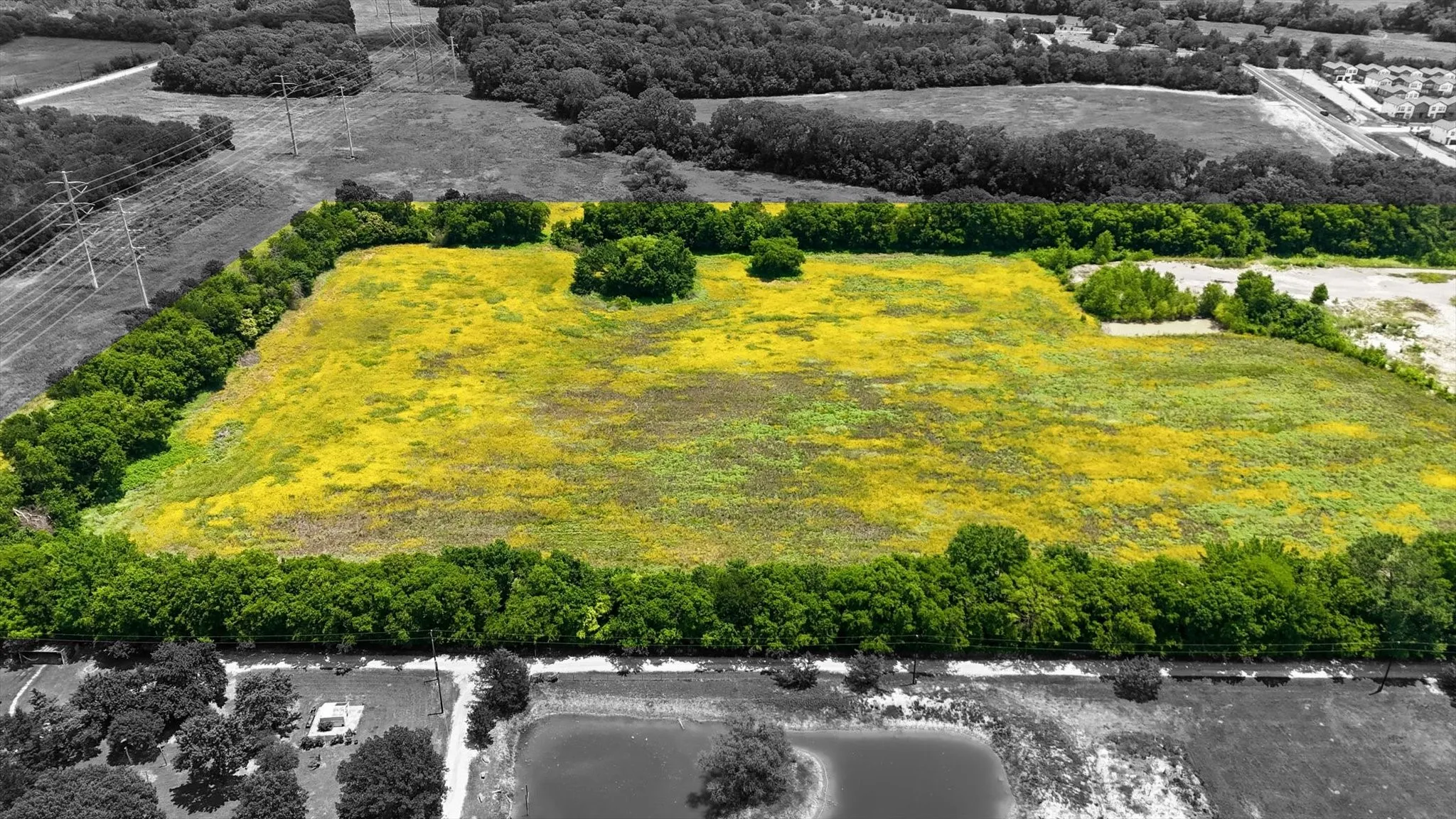 Expansive open land parcel featuring a tree-lined perimeter, natural vegetation, and a flat topography