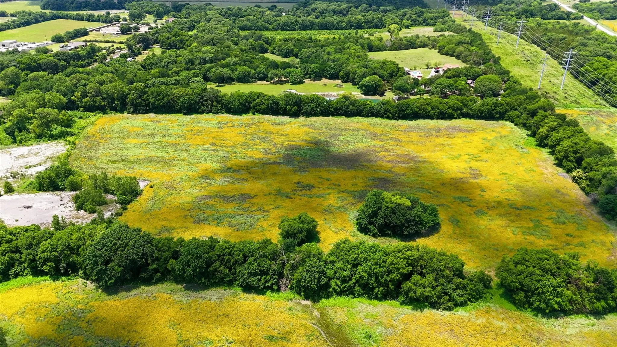Expansive land parcel featuring open fields and mature tree lines