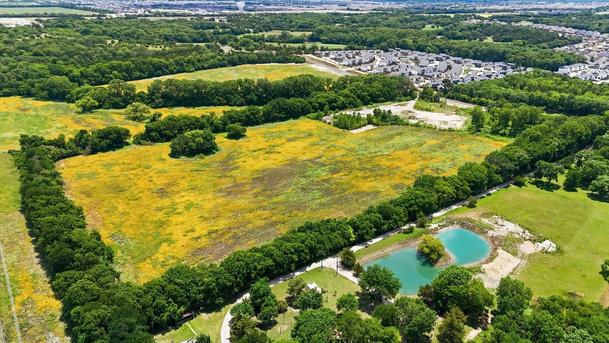 Expansive undeveloped land featuring mature tree lines, a large field of yellow wildflowers, and a small pond with clear blue water
