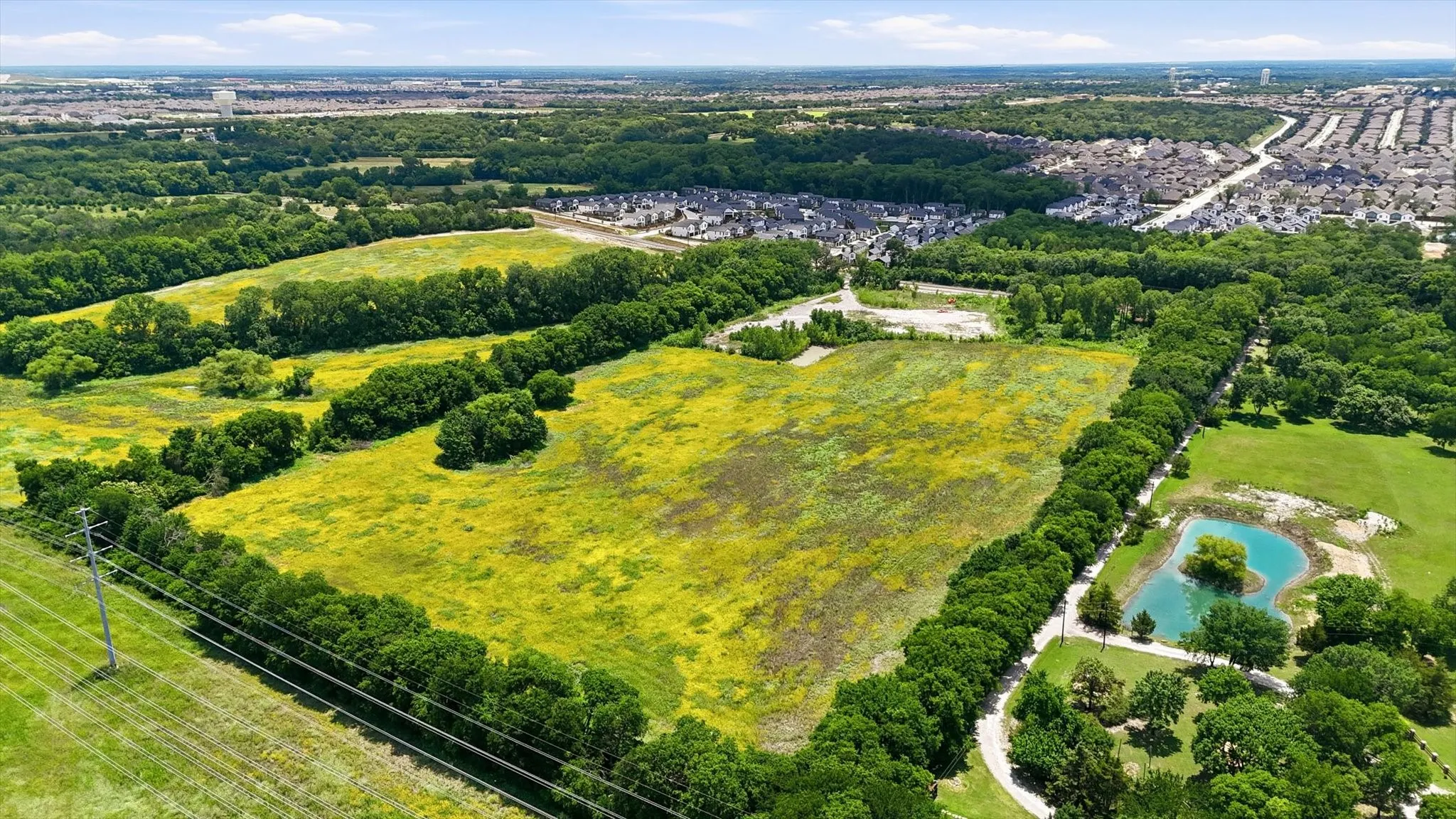 Expansive green field surrounded by mature tree lines