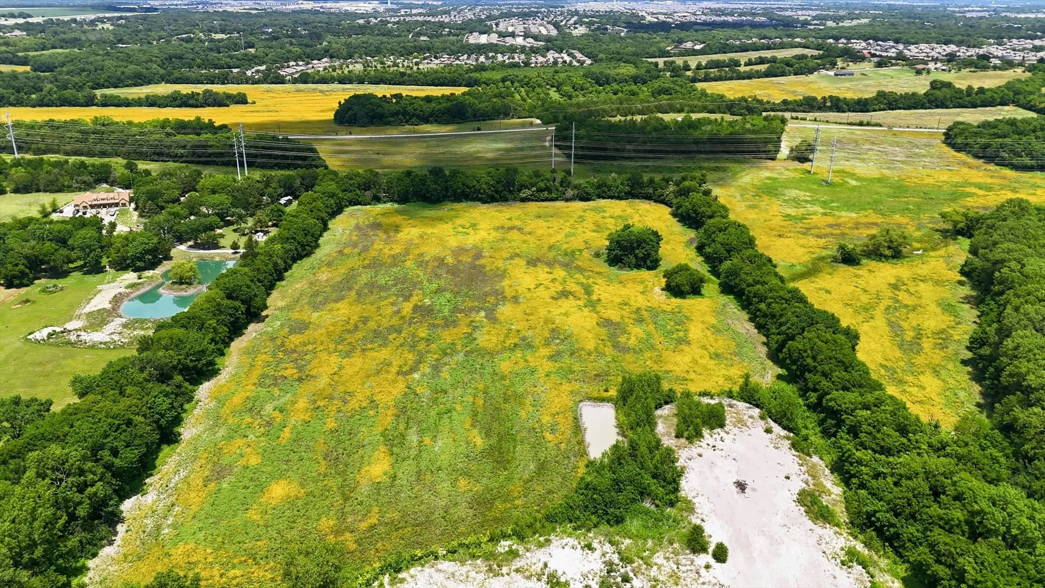 Expansive parcel featuring mature tree lines and vibrant flora