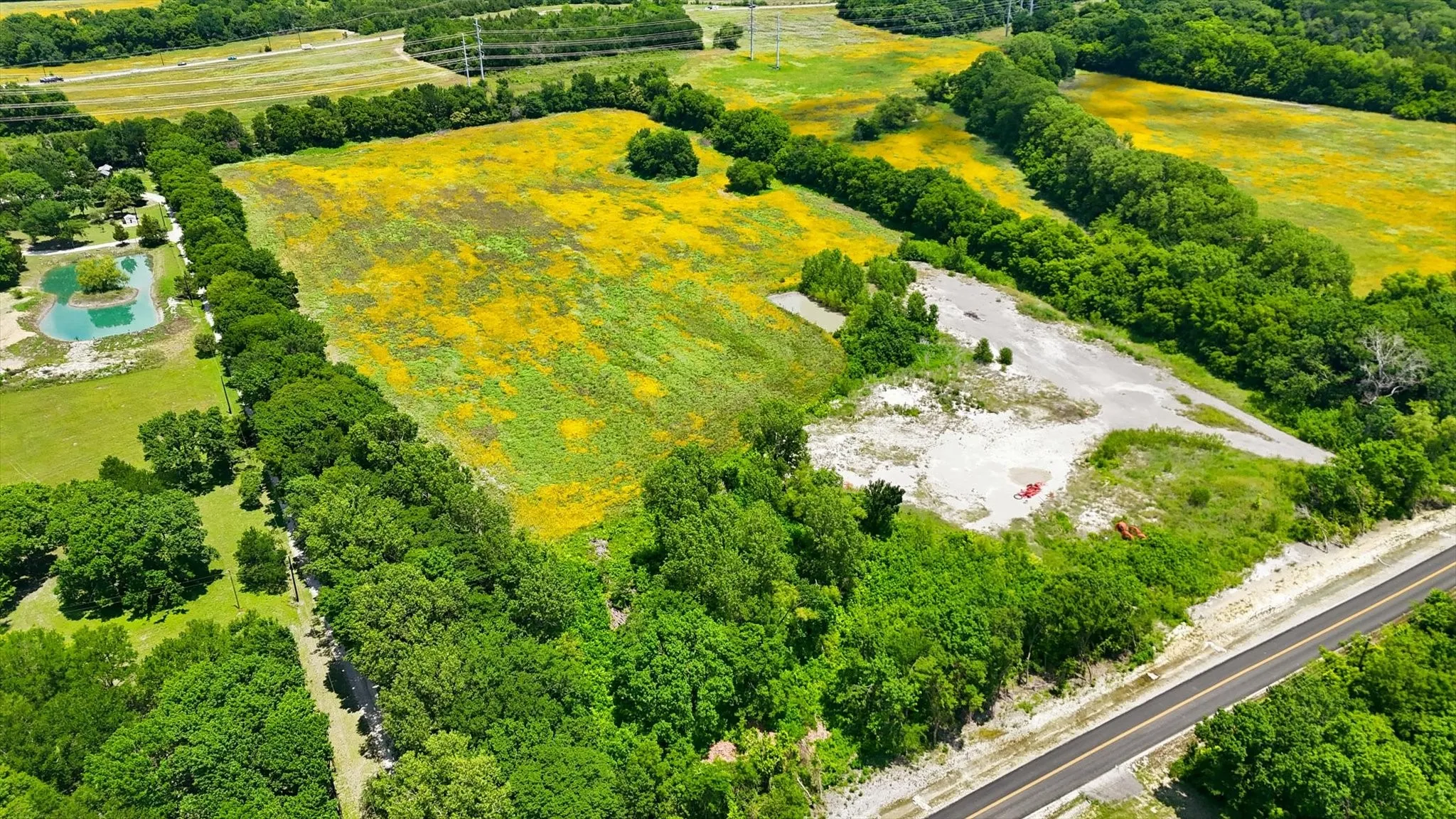 Expansive land parcel featuring a paved road frontage, established tree lines, and a field with natural flora