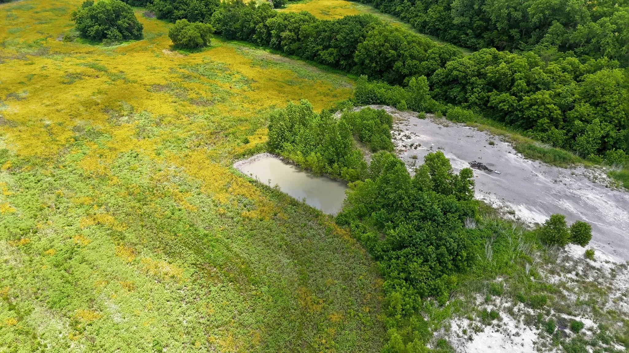 Expansive natural landscape featuring a pond, dense tree lines, flowering fields, and varied topography