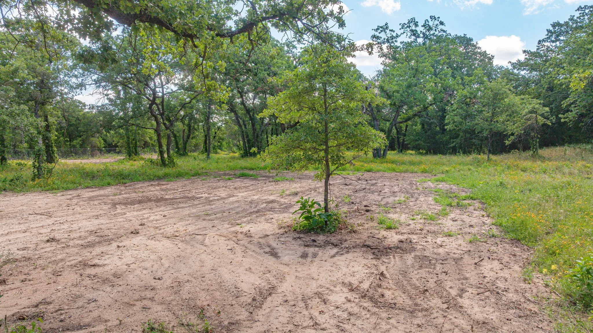 Unimproved Land For Sale in Palo Pinto County , 19715 S Highway 281, Santo, Texas 76472, 0, 0, Garage spaces, 0 Sqft, built in 0, mls#21304636, Real Estate Agent in Santo, Homes For Sale in Palo Pinto county, Homes For Sale in Santo, Realtor in Santo Texas, Real Estate Brokerage Independent Realty Texas, Luminita Cordes Realtor