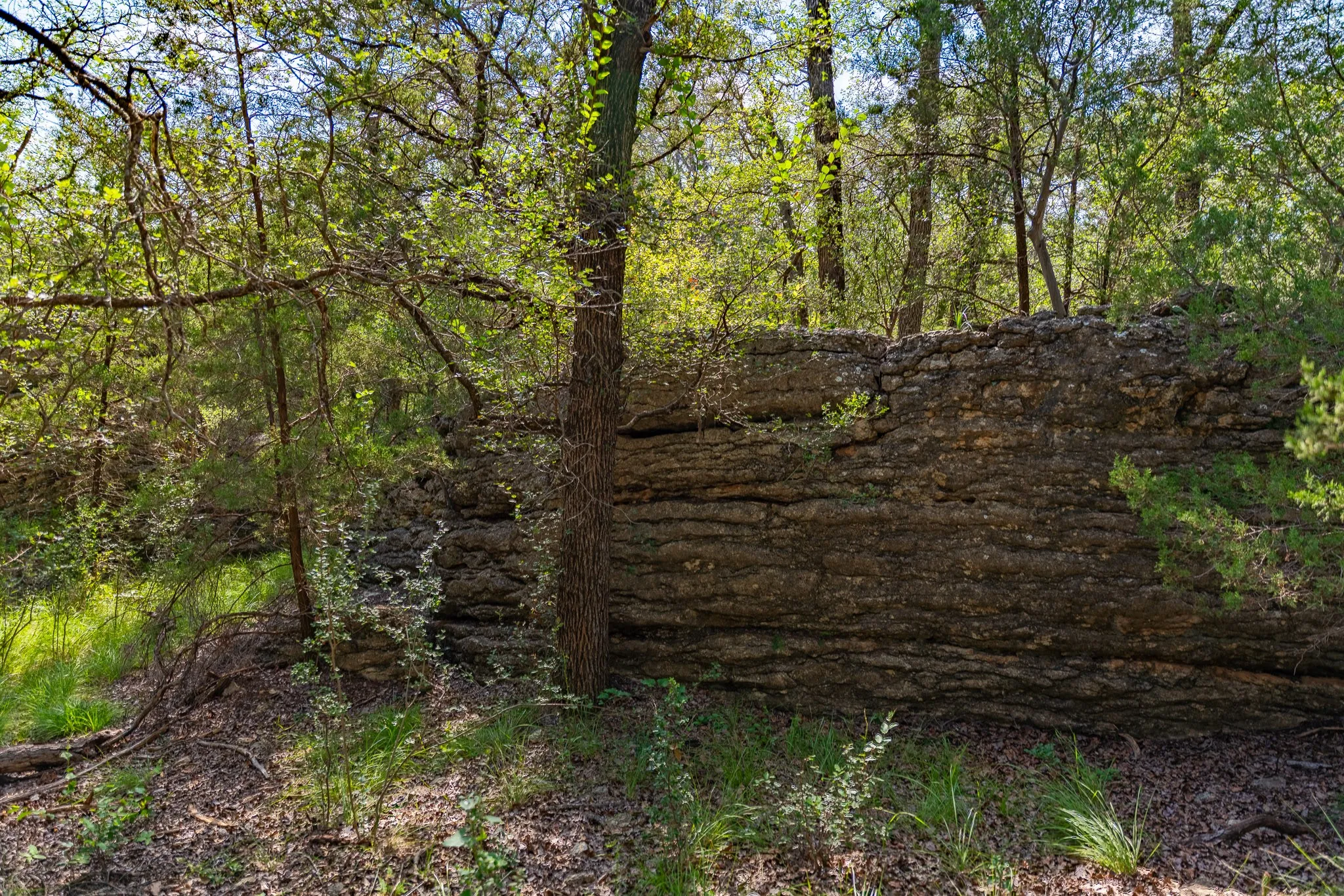 Ranch For Sale in Coleman County , TBD CR 224, No City, Texas 76827, 0, 0, Garage spaces, 0 Sqft, built in 0, mls#21305060, Real Estate Agent in No City, Homes For Sale in Coleman county, Homes For Sale in No City, Realtor in No City Texas, Real Estate Brokerage Independent Realty Texas, Luminita Cordes Realtor