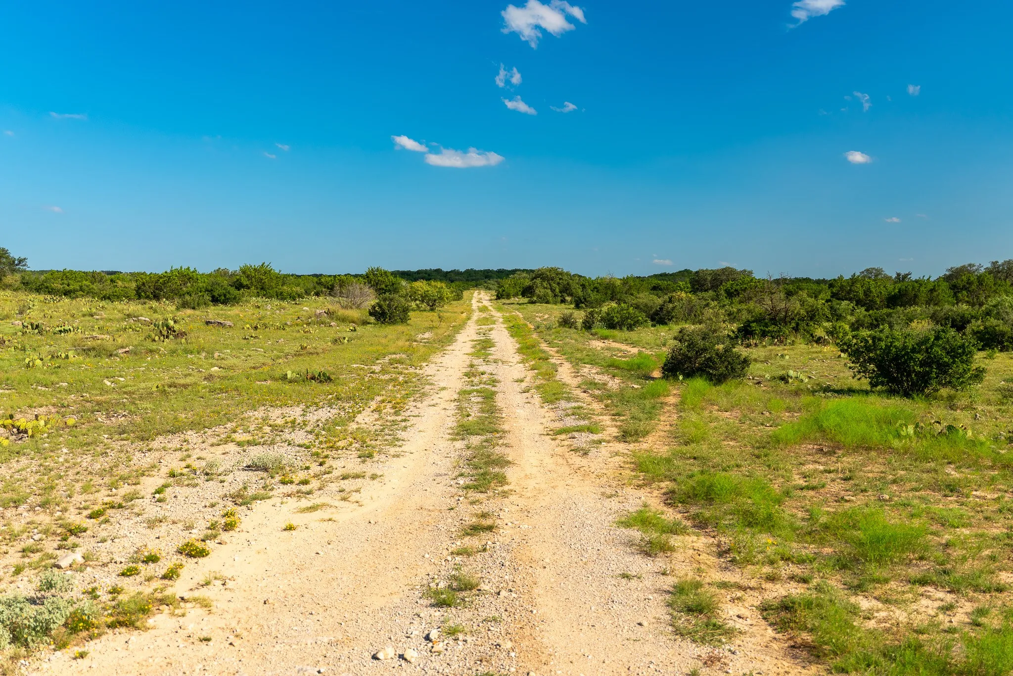 Open country for nice quail habitat
