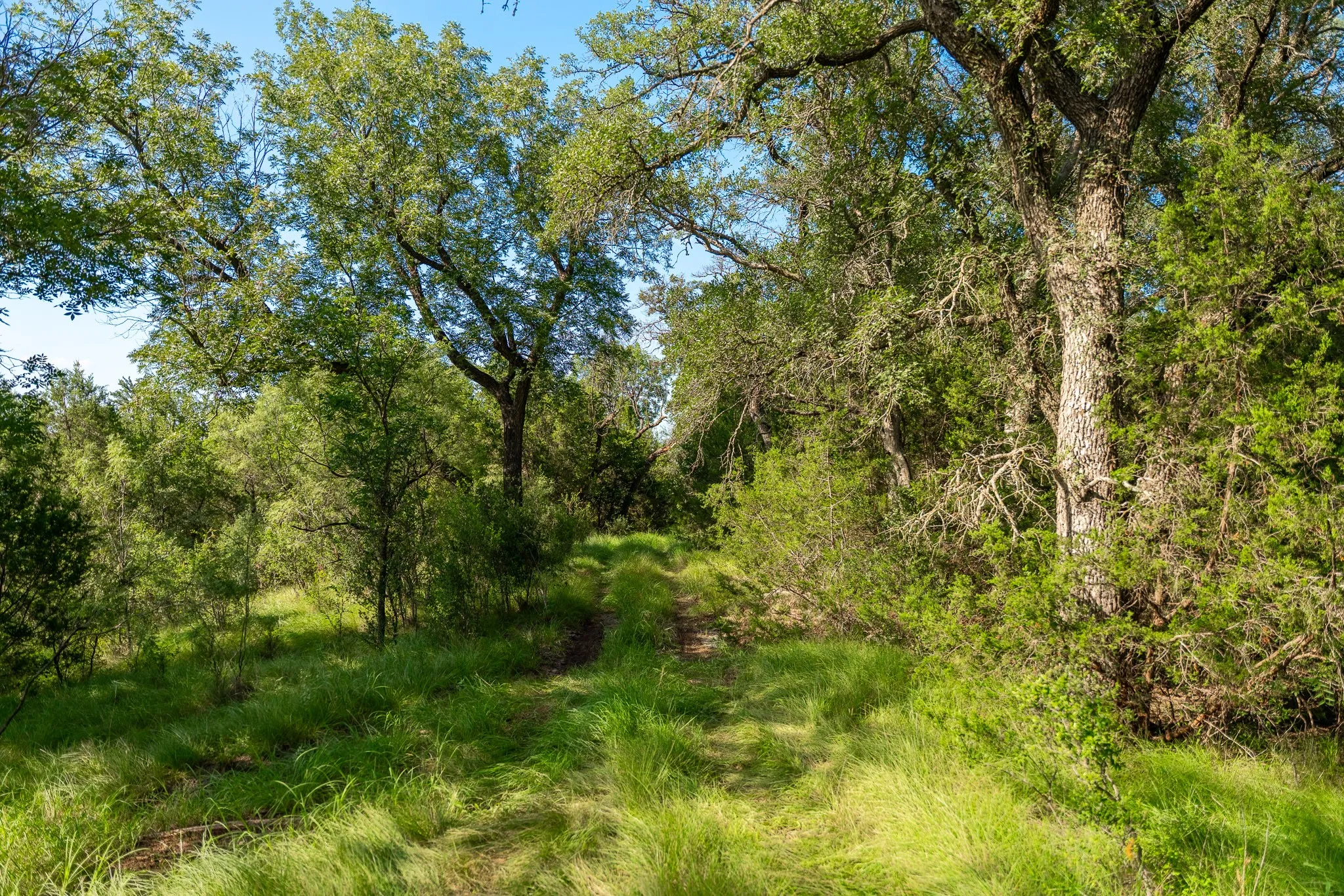 Ranch For Sale in Coleman County , TBD CR 224, No City, Texas 76827, 0, 0, Garage spaces, 0 Sqft, built in 0, mls#21305060, Real Estate Agent in No City, Homes For Sale in Coleman county, Homes For Sale in No City, Realtor in No City Texas, Real Estate Brokerage Independent Realty Texas, Luminita Cordes Realtor
