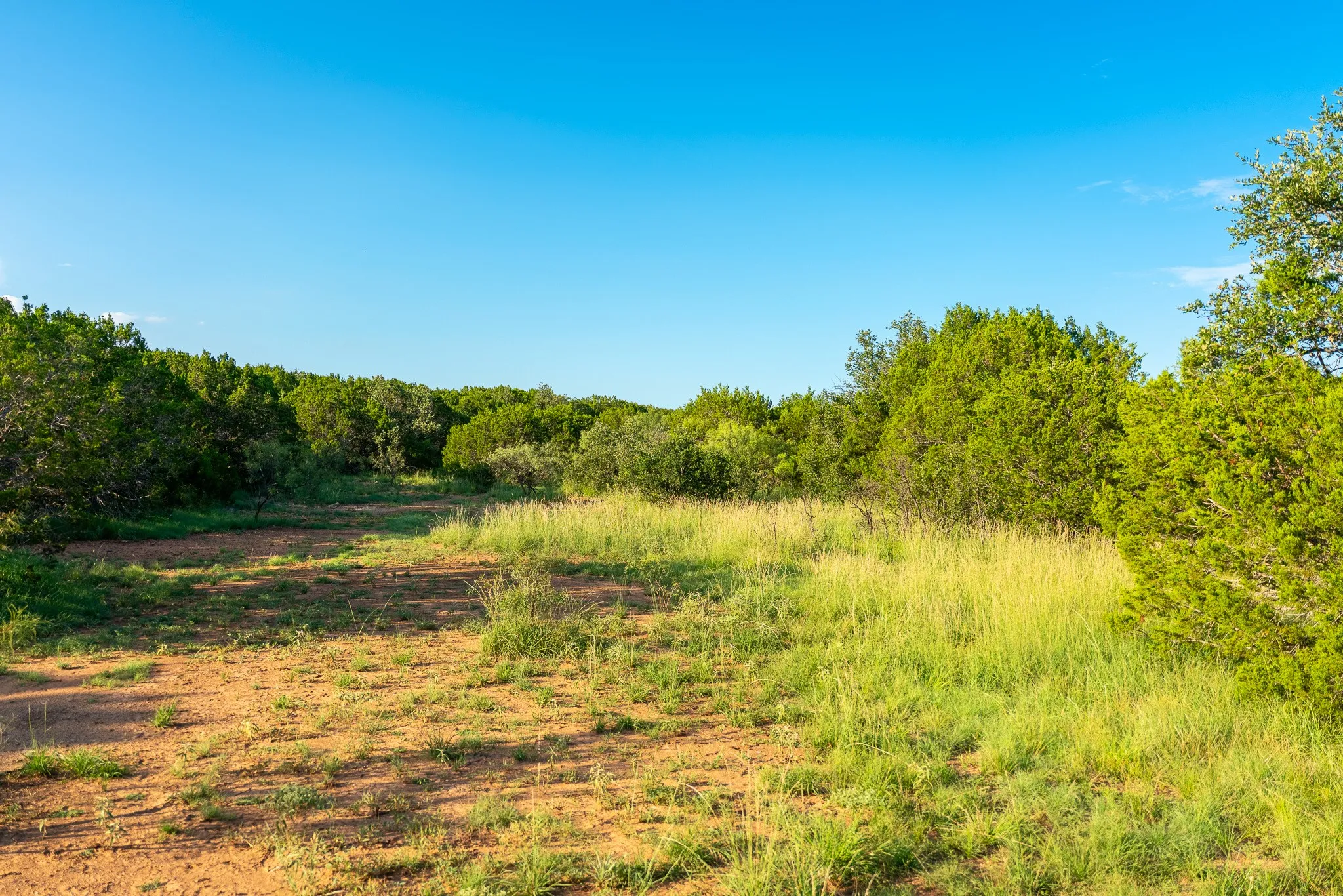 Ranch For Sale in Coleman County , TBD CR 224, No City, Texas 76827, 0, 0, Garage spaces, 0 Sqft, built in 0, mls#21305060, Real Estate Agent in No City, Homes For Sale in Coleman county, Homes For Sale in No City, Realtor in No City Texas, Real Estate Brokerage Independent Realty Texas, Luminita Cordes Realtor