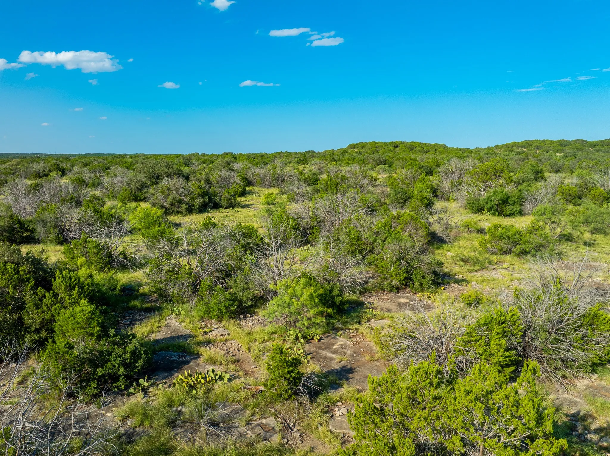 Ranch For Sale in Coleman County , TBD CR 224, No City, Texas 76827, 0, 0, Garage spaces, 0 Sqft, built in 0, mls#21305060, Real Estate Agent in No City, Homes For Sale in Coleman county, Homes For Sale in No City, Realtor in No City Texas, Real Estate Brokerage Independent Realty Texas, Luminita Cordes Realtor