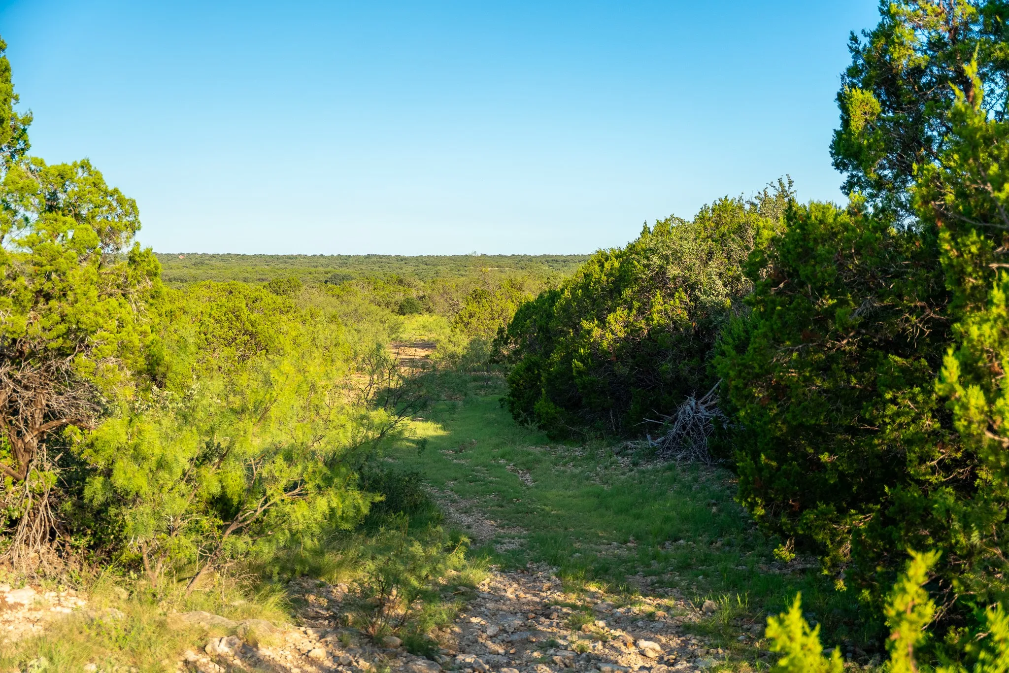 Ranch For Sale in Coleman County , TBD CR 224, No City, Texas 76827, 0, 0, Garage spaces, 0 Sqft, built in 0, mls#21305060, Real Estate Agent in No City, Homes For Sale in Coleman county, Homes For Sale in No City, Realtor in No City Texas, Real Estate Brokerage Independent Realty Texas, Luminita Cordes Realtor