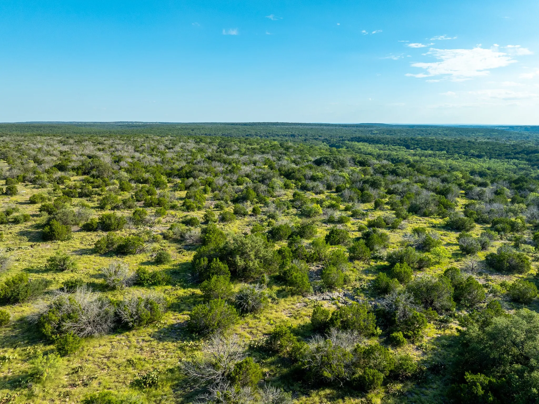 Ranch For Sale in Coleman County , TBD CR 224, No City, Texas 76827, 0, 0, Garage spaces, 0 Sqft, built in 0, mls#21305060, Real Estate Agent in No City, Homes For Sale in Coleman county, Homes For Sale in No City, Realtor in No City Texas, Real Estate Brokerage Independent Realty Texas, Luminita Cordes Realtor