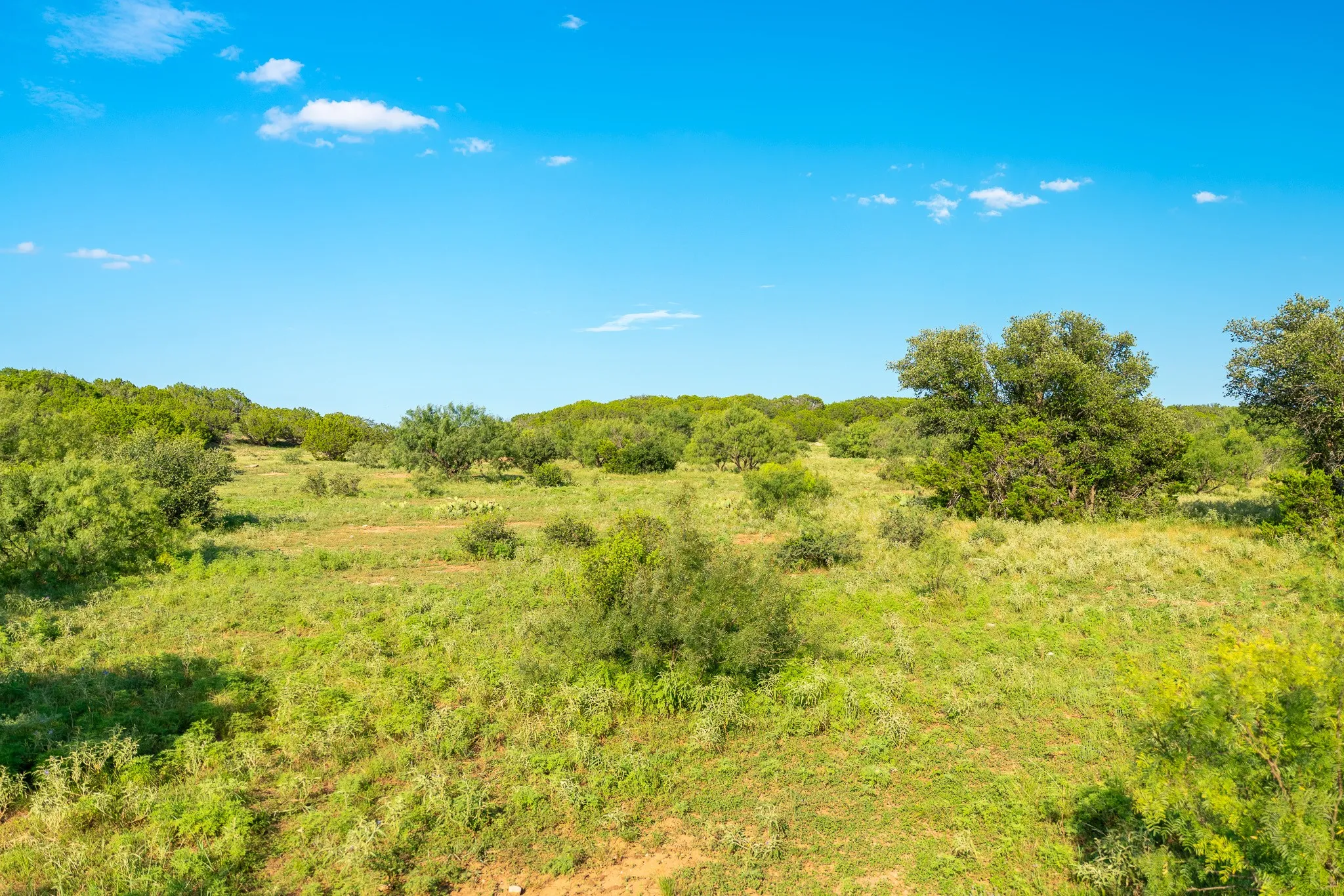Ranch For Sale in Coleman County , TBD CR 224, No City, Texas 76827, 0, 0, Garage spaces, 0 Sqft, built in 0, mls#21305060, Real Estate Agent in No City, Homes For Sale in Coleman county, Homes For Sale in No City, Realtor in No City Texas, Real Estate Brokerage Independent Realty Texas, Luminita Cordes Realtor