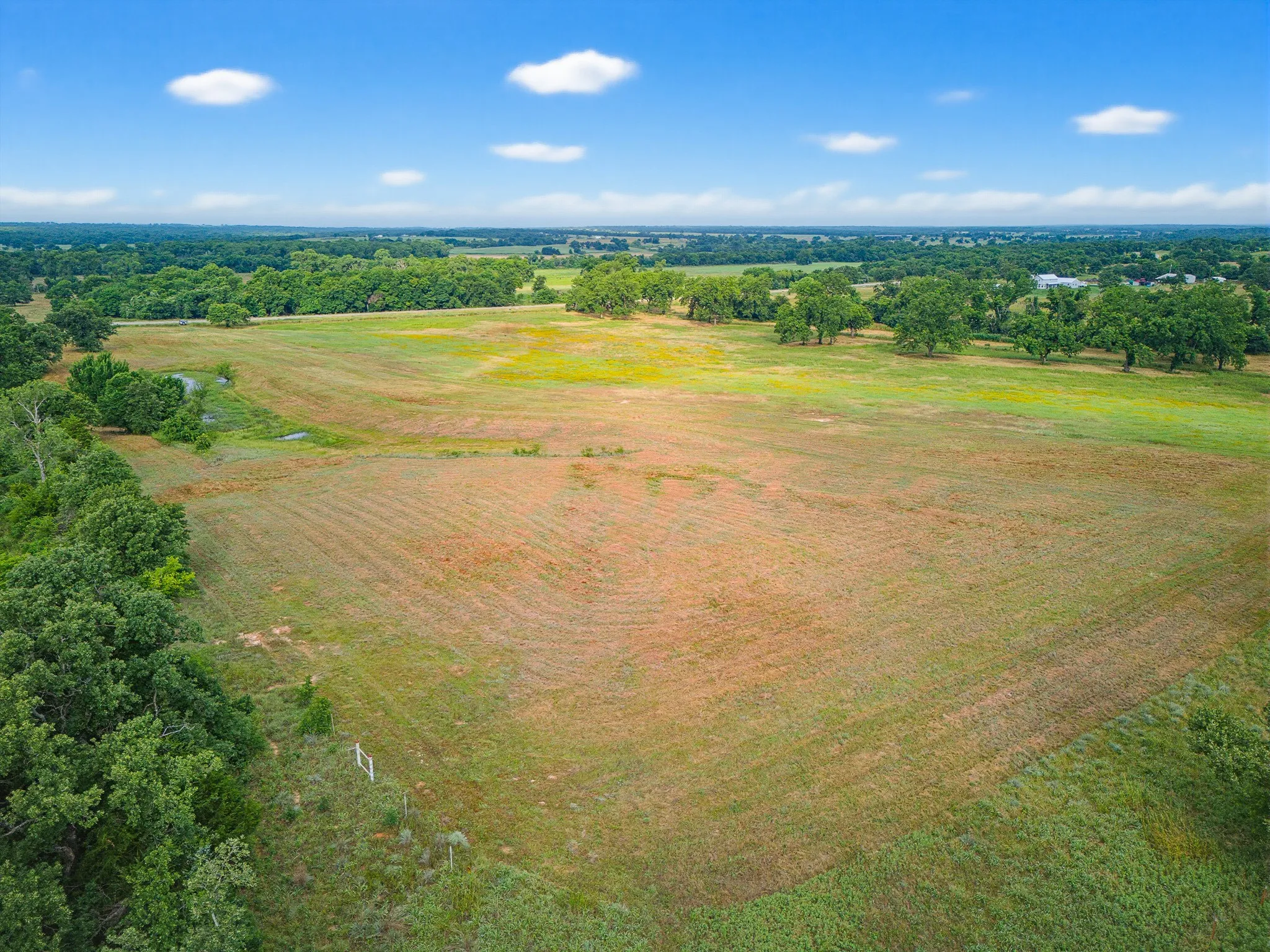 Unimproved Land For Sale in Montague County , TBD 24.25 Acres Fm 1749, Forestburg, Texas 76239, 0, 0, Garage spaces, 0 Sqft, built in 2003, mls#21306143, Real Estate Agent in Forestburg, Homes For Sale in Montague county, Homes For Sale in Forestburg, Realtor in Forestburg Texas, Real Estate Brokerage Independent Realty Texas, Luminita Cordes Realtor