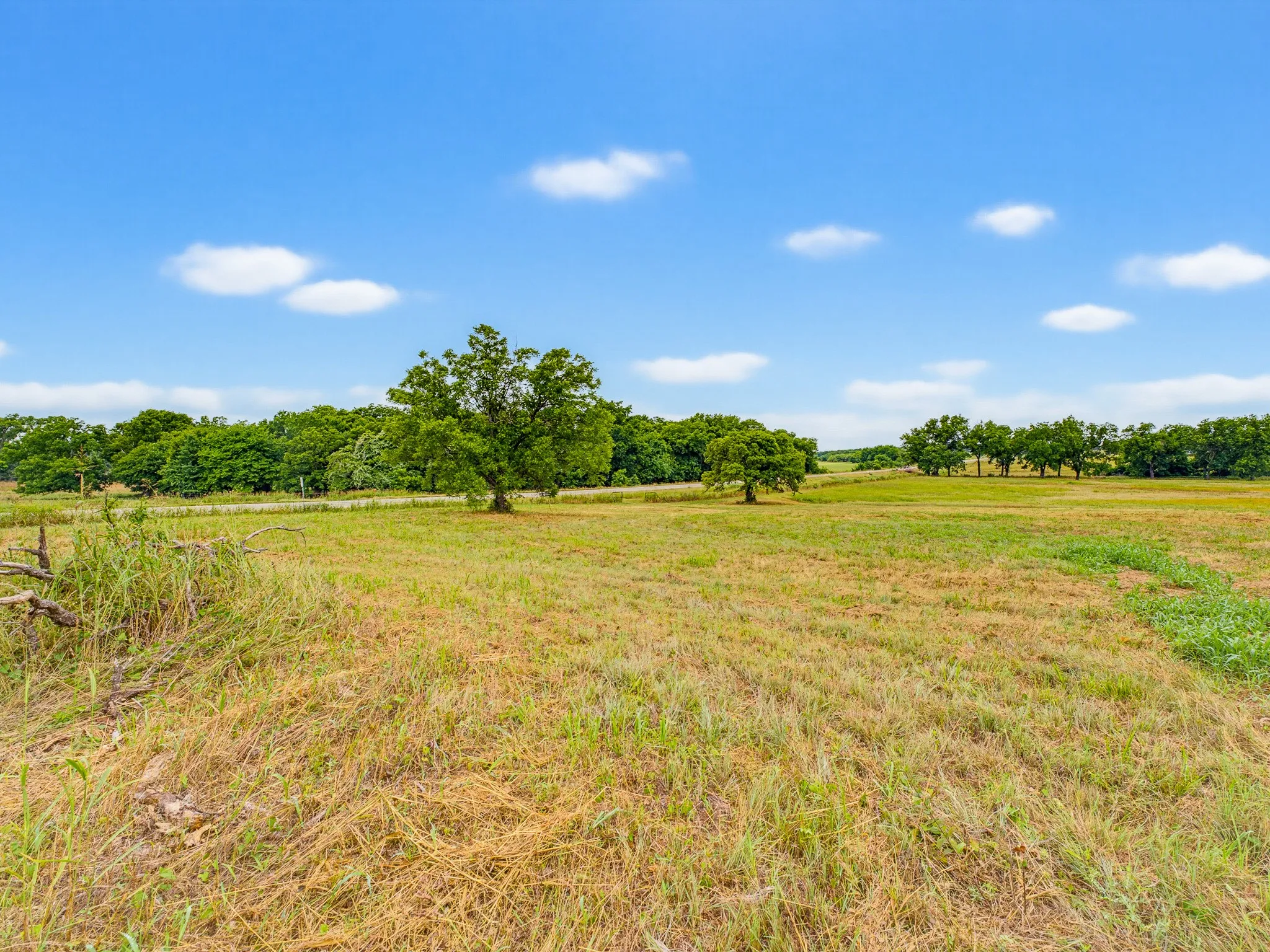 Unimproved Land For Sale in Montague County , TBD 24.25 Acres Fm 1749, Forestburg, Texas 76239, 0, 0, Garage spaces, 0 Sqft, built in 2003, mls#21306143, Real Estate Agent in Forestburg, Homes For Sale in Montague county, Homes For Sale in Forestburg, Realtor in Forestburg Texas, Real Estate Brokerage Independent Realty Texas, Luminita Cordes Realtor