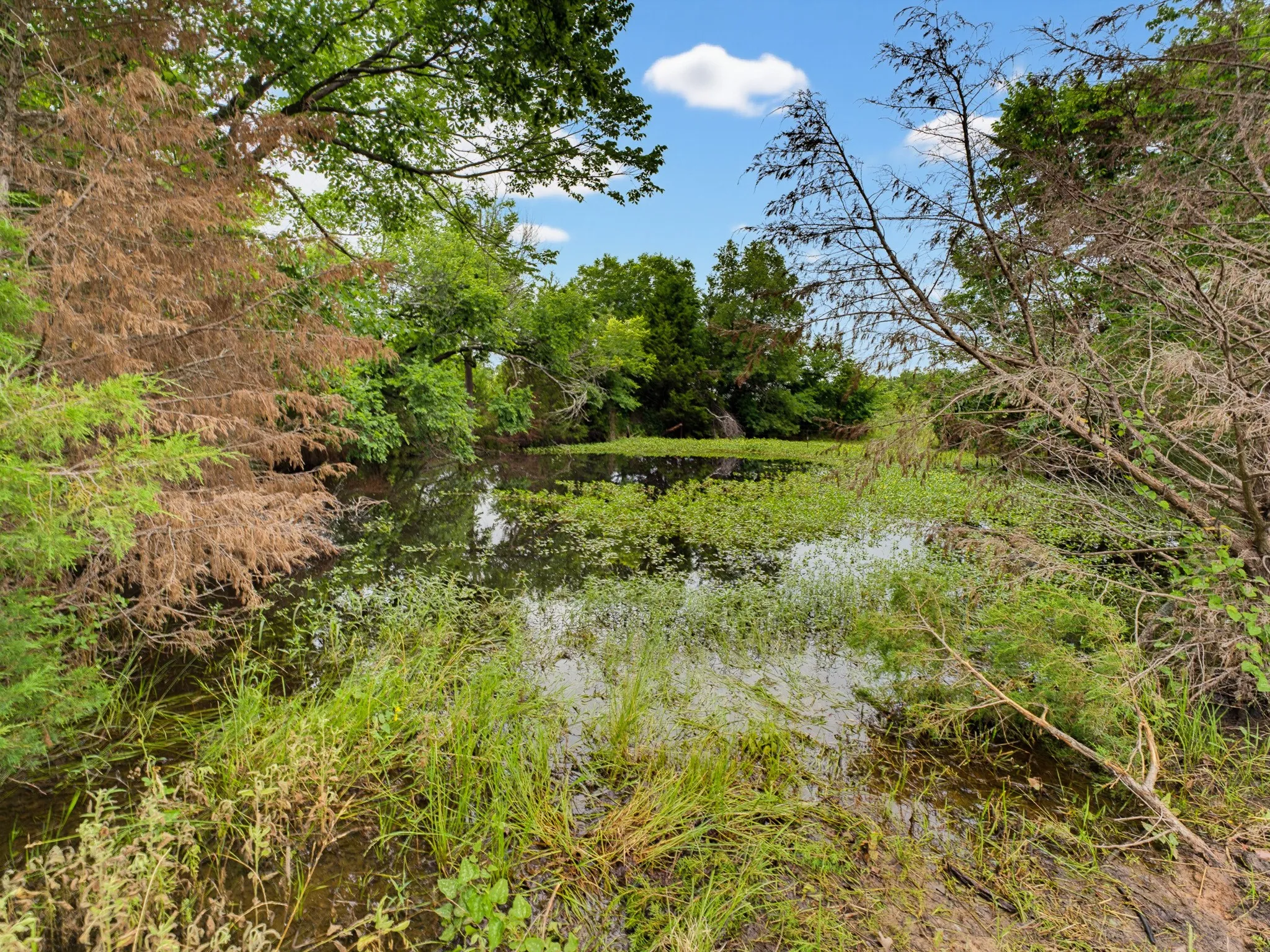 Unimproved Land For Sale in Montague County , TBD 24.25 Acres Fm 1749, Forestburg, Texas 76239, 0, 0, Garage spaces, 0 Sqft, built in 2003, mls#21306143, Real Estate Agent in Forestburg, Homes For Sale in Montague county, Homes For Sale in Forestburg, Realtor in Forestburg Texas, Real Estate Brokerage Independent Realty Texas, Luminita Cordes Realtor