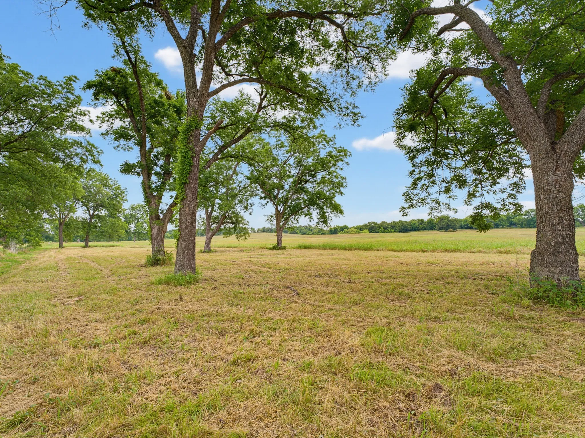 Unimproved Land For Sale in Montague County , TBD 24.25 Acres Fm 1749, Forestburg, Texas 76239, 0, 0, Garage spaces, 0 Sqft, built in 2003, mls#21306143, Real Estate Agent in Forestburg, Homes For Sale in Montague county, Homes For Sale in Forestburg, Realtor in Forestburg Texas, Real Estate Brokerage Independent Realty Texas, Luminita Cordes Realtor