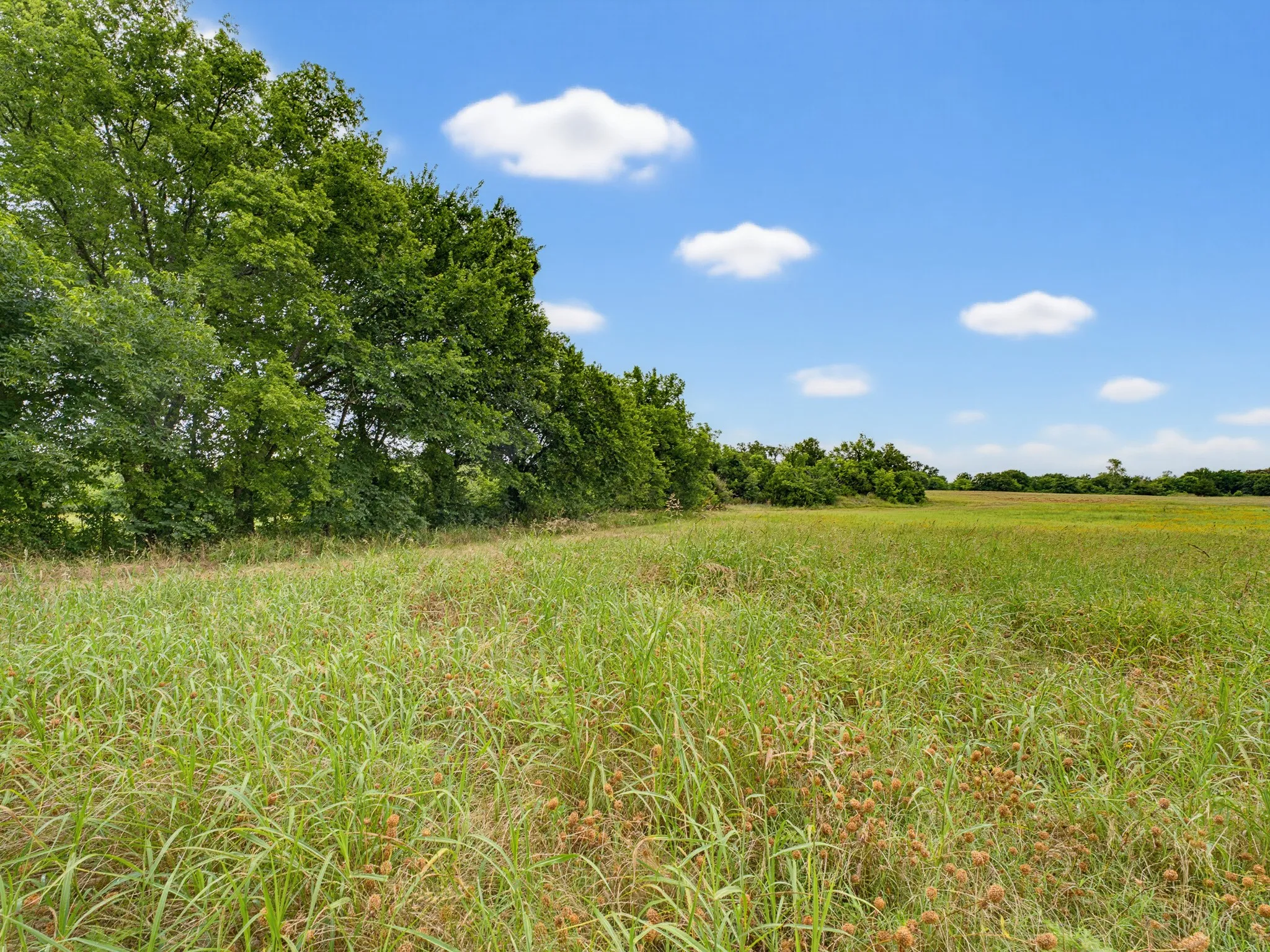 Unimproved Land For Sale in Montague County , TBD 24.25 Acres Fm 1749, Forestburg, Texas 76239, 0, 0, Garage spaces, 0 Sqft, built in 2003, mls#21306143, Real Estate Agent in Forestburg, Homes For Sale in Montague county, Homes For Sale in Forestburg, Realtor in Forestburg Texas, Real Estate Brokerage Independent Realty Texas, Luminita Cordes Realtor