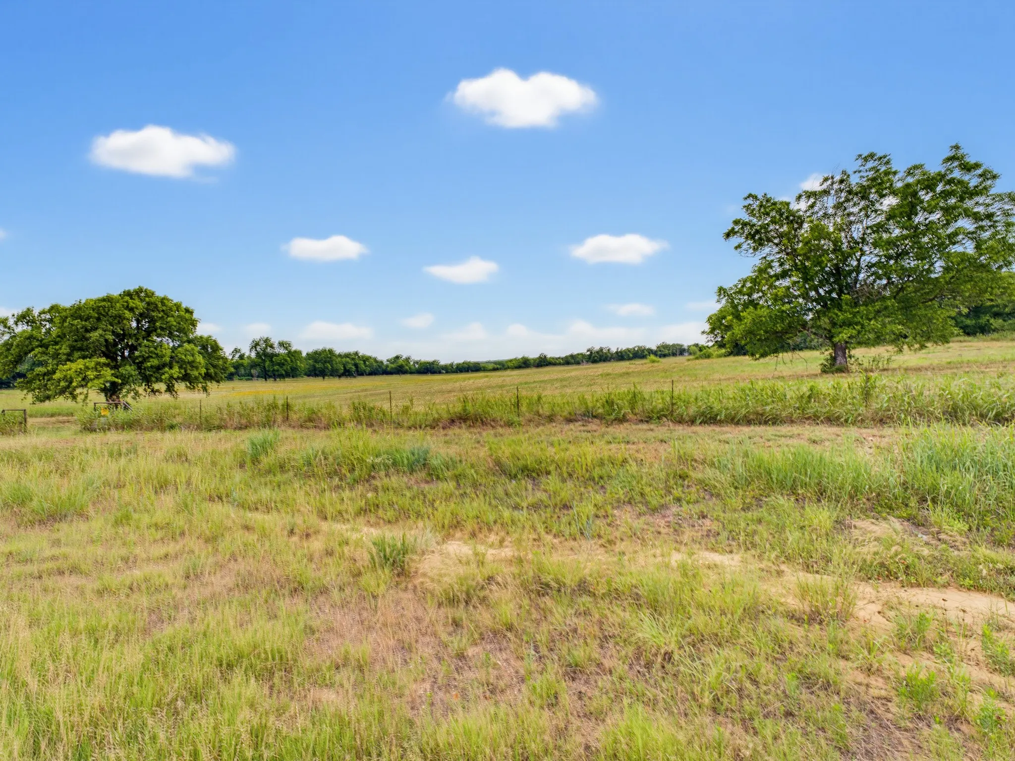 Unimproved Land For Sale in Montague County , TBD 24.25 Acres Fm 1749, Forestburg, Texas 76239, 0, 0, Garage spaces, 0 Sqft, built in 2003, mls#21306143, Real Estate Agent in Forestburg, Homes For Sale in Montague county, Homes For Sale in Forestburg, Realtor in Forestburg Texas, Real Estate Brokerage Independent Realty Texas, Luminita Cordes Realtor