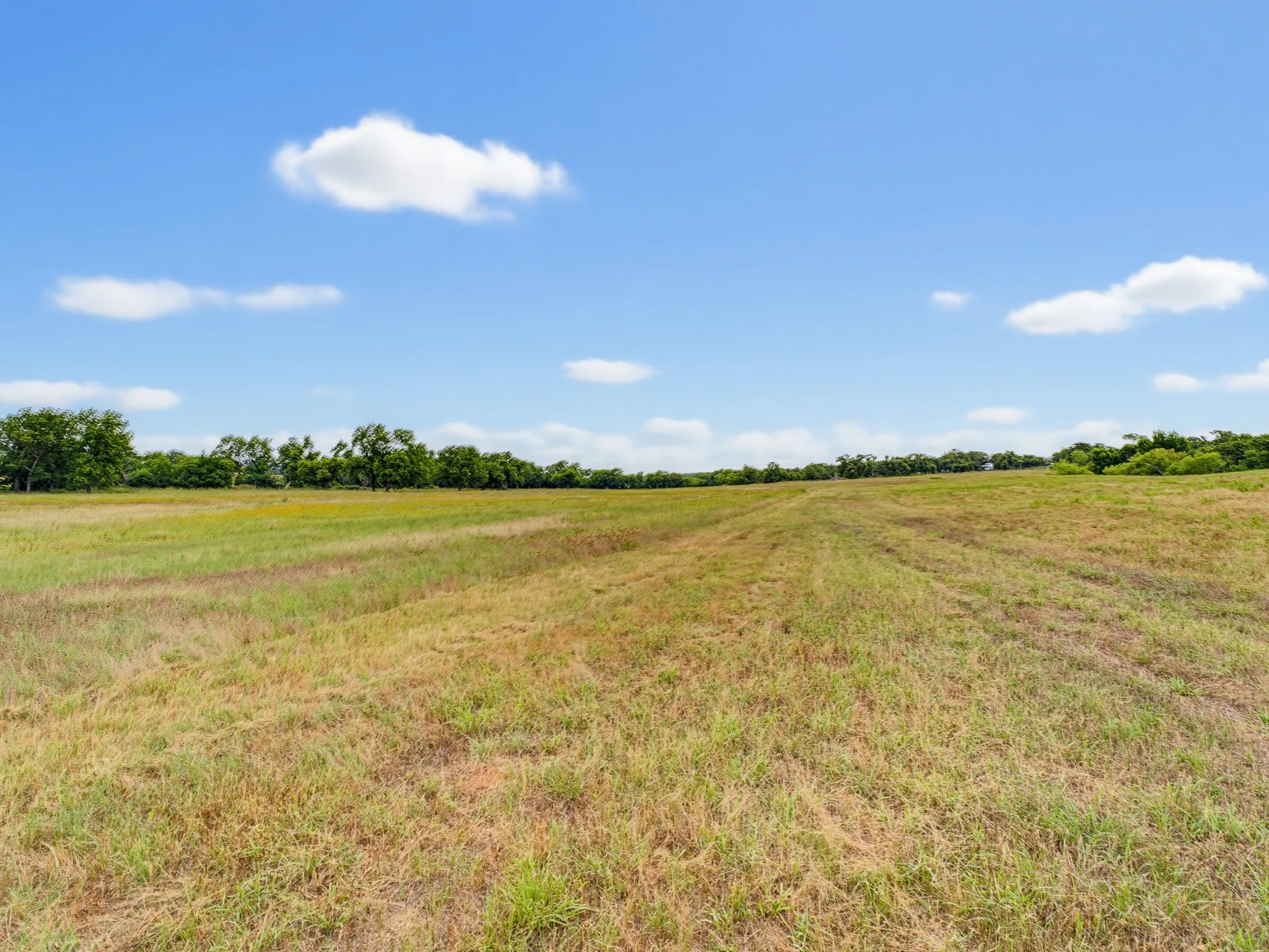 Unimproved Land For Sale in Montague County , TBD 24.25 Acres Fm 1749, Forestburg, Texas 76239, 0, 0, Garage spaces, 0 Sqft, built in 2003, mls#21306143, Real Estate Agent in Forestburg, Homes For Sale in Montague county, Homes For Sale in Forestburg, Realtor in Forestburg Texas, Real Estate Brokerage Independent Realty Texas, Luminita Cordes Realtor