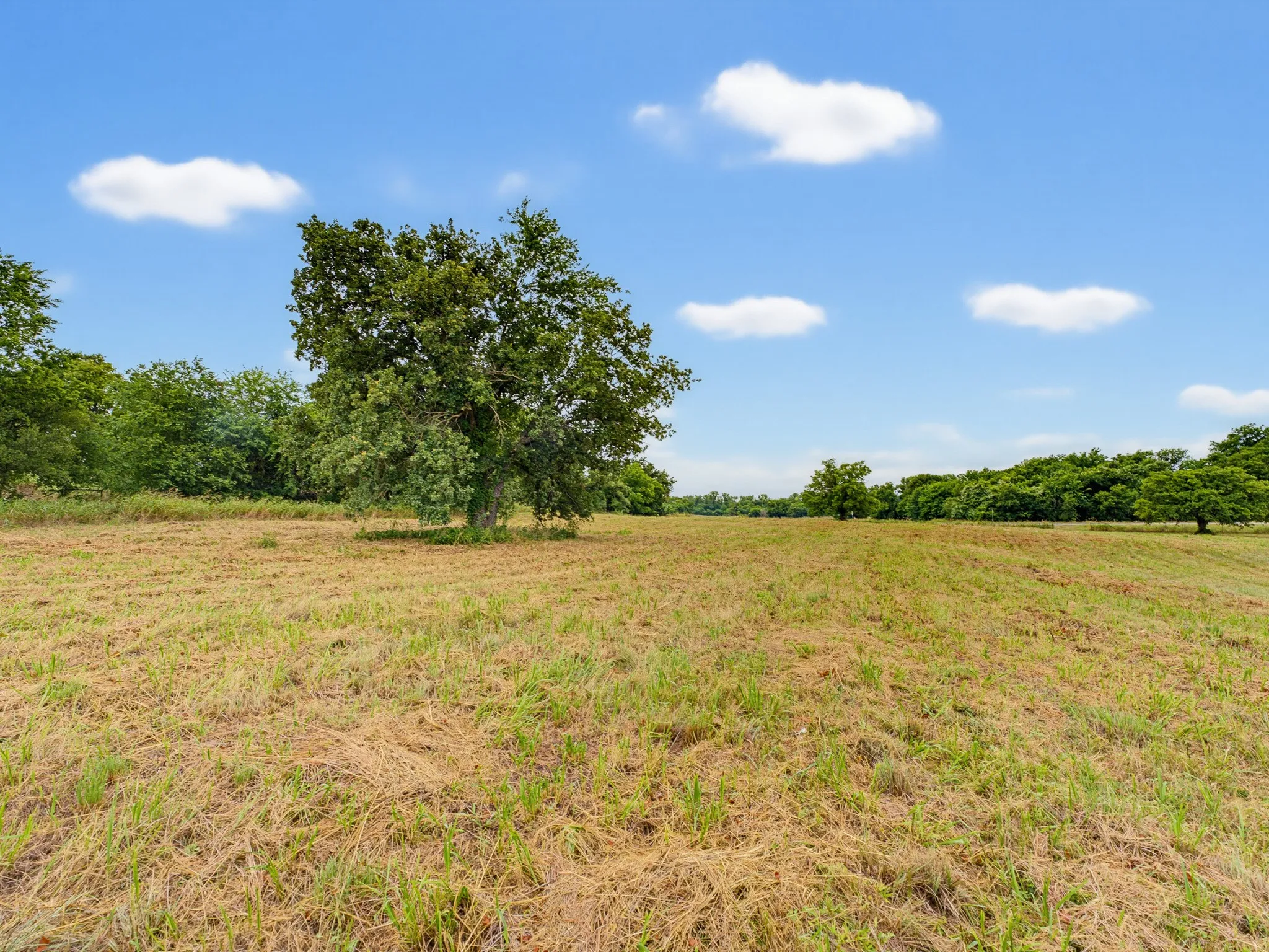 Unimproved Land For Sale in Montague County , TBD 24.25 Acres Fm 1749, Forestburg, Texas 76239, 0, 0, Garage spaces, 0 Sqft, built in 2003, mls#21306143, Real Estate Agent in Forestburg, Homes For Sale in Montague county, Homes For Sale in Forestburg, Realtor in Forestburg Texas, Real Estate Brokerage Independent Realty Texas, Luminita Cordes Realtor