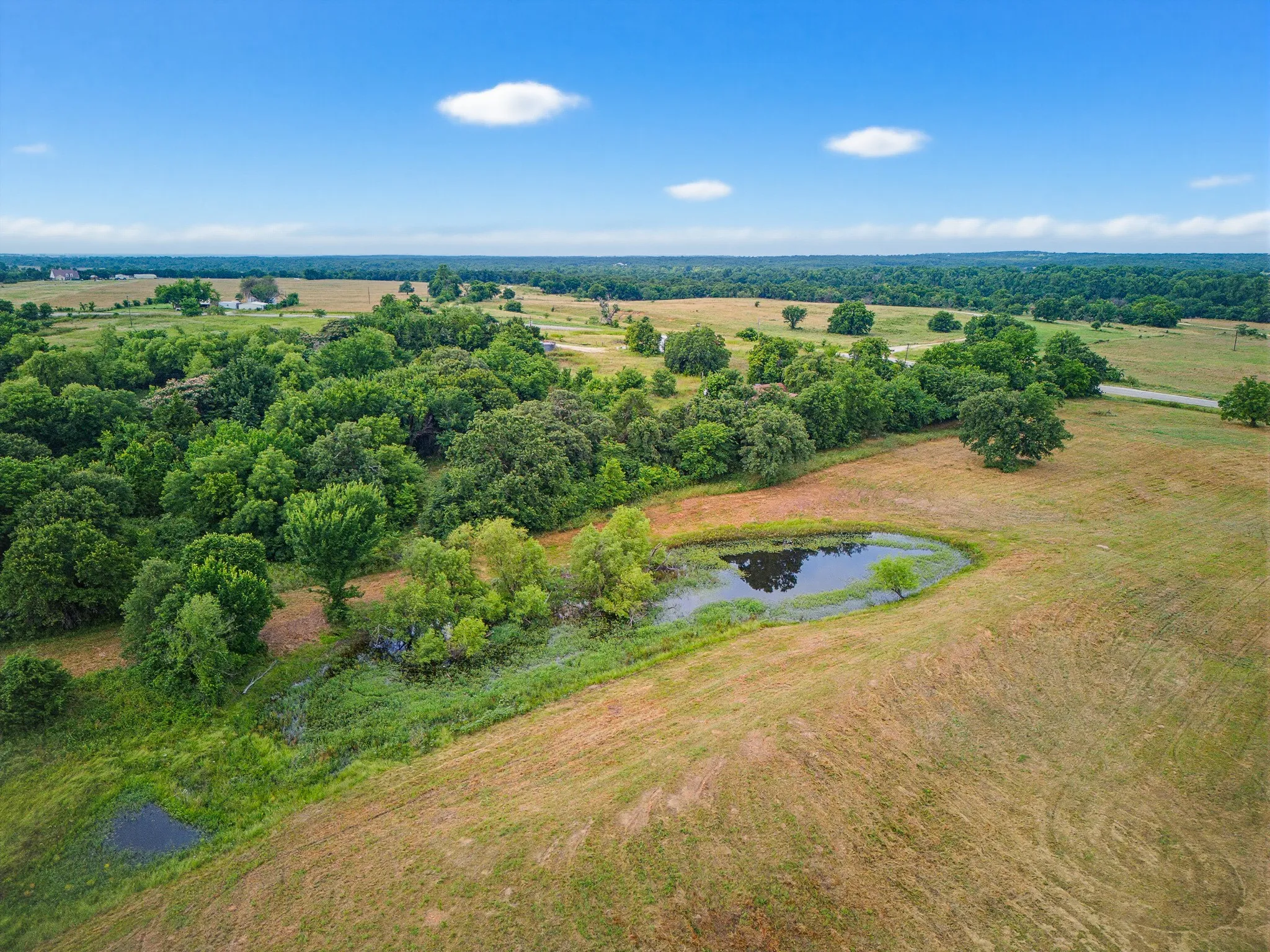 Unimproved Land For Sale in Montague County , TBD 24.25 Acres Fm 1749, Forestburg, Texas 76239, 0, 0, Garage spaces, 0 Sqft, built in 2003, mls#21306143, Real Estate Agent in Forestburg, Homes For Sale in Montague county, Homes For Sale in Forestburg, Realtor in Forestburg Texas, Real Estate Brokerage Independent Realty Texas, Luminita Cordes Realtor