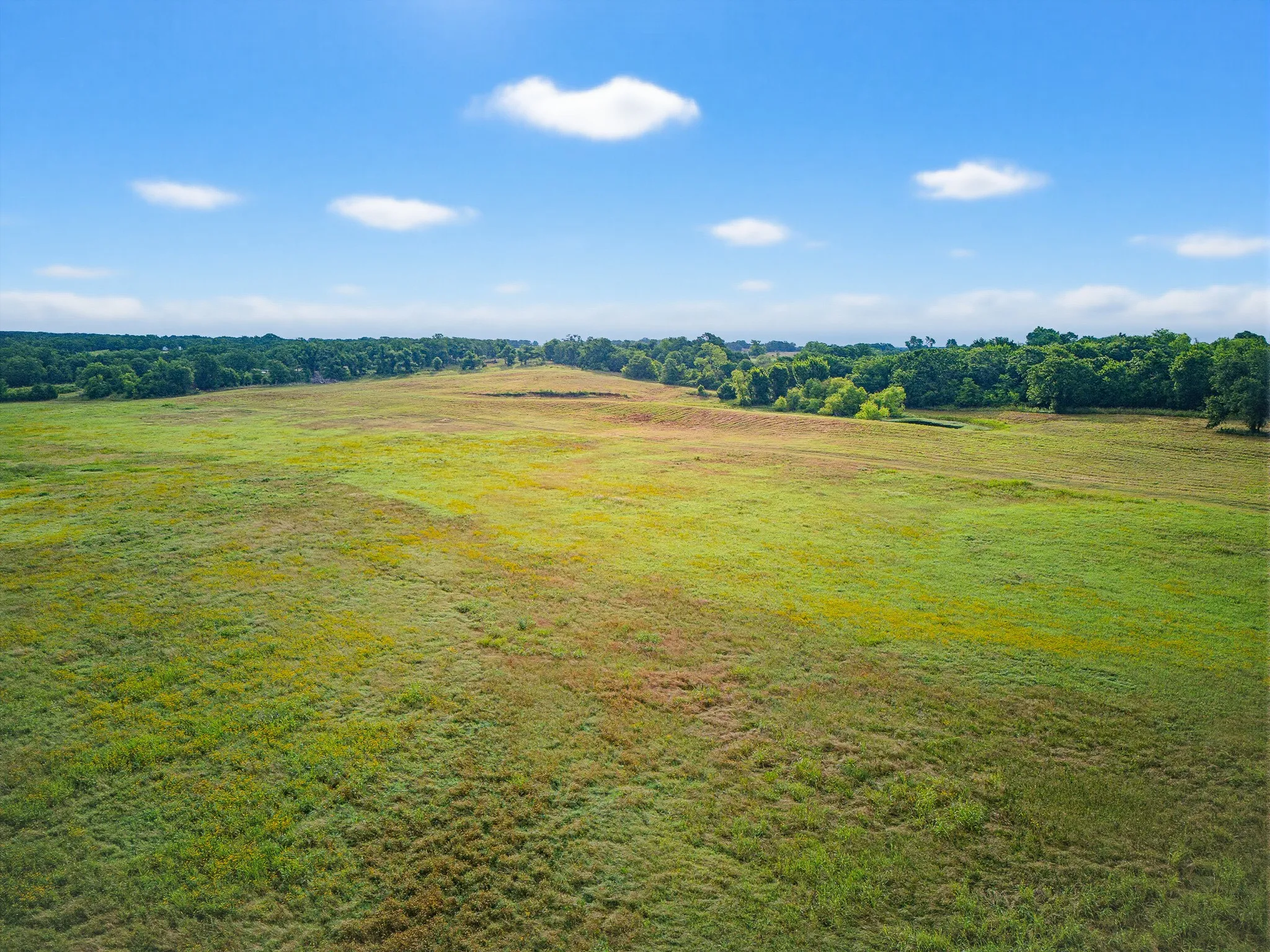 Unimproved Land For Sale in Montague County , TBD 24.25 Acres Fm 1749, Forestburg, Texas 76239, 0, 0, Garage spaces, 0 Sqft, built in 2003, mls#21306143, Real Estate Agent in Forestburg, Homes For Sale in Montague county, Homes For Sale in Forestburg, Realtor in Forestburg Texas, Real Estate Brokerage Independent Realty Texas, Luminita Cordes Realtor