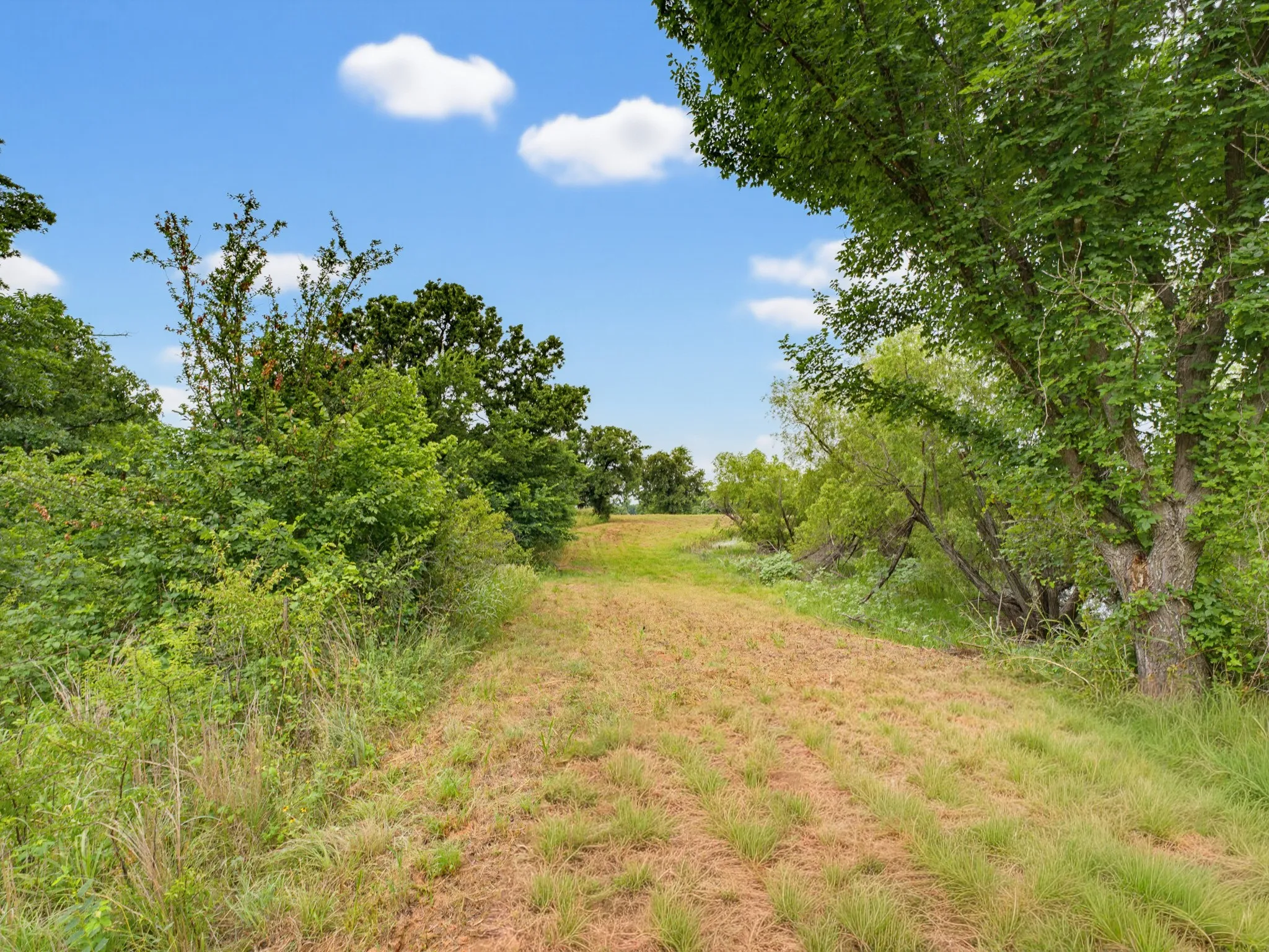 Unimproved Land For Sale in Montague County , TBD 24.25 Acres Fm 1749, Forestburg, Texas 76239, 0, 0, Garage spaces, 0 Sqft, built in 2003, mls#21306143, Real Estate Agent in Forestburg, Homes For Sale in Montague county, Homes For Sale in Forestburg, Realtor in Forestburg Texas, Real Estate Brokerage Independent Realty Texas, Luminita Cordes Realtor