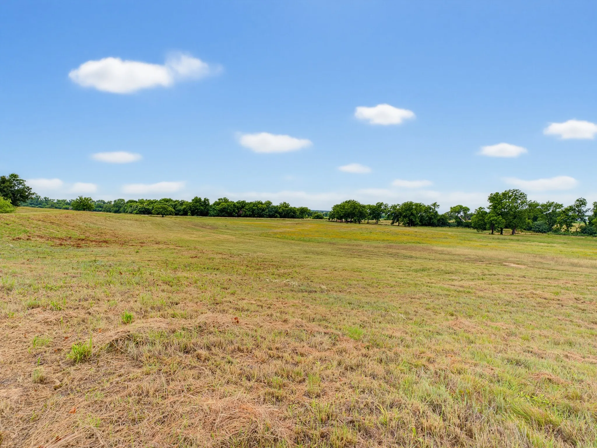 Unimproved Land For Sale in Montague County , TBD 24.25 Acres Fm 1749, Forestburg, Texas 76239, 0, 0, Garage spaces, 0 Sqft, built in 2003, mls#21306143, Real Estate Agent in Forestburg, Homes For Sale in Montague county, Homes For Sale in Forestburg, Realtor in Forestburg Texas, Real Estate Brokerage Independent Realty Texas, Luminita Cordes Realtor