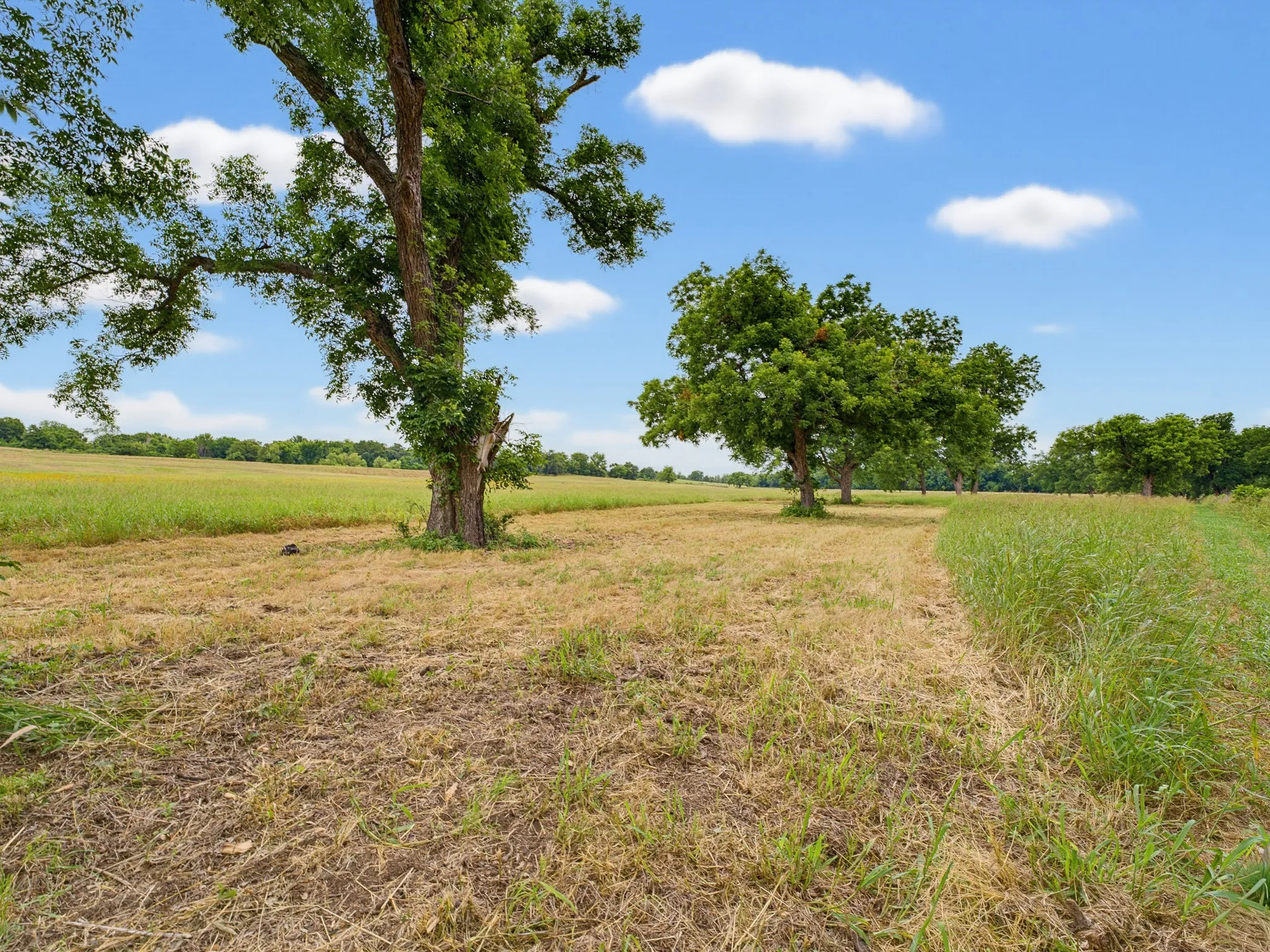 Unimproved Land For Sale in Montague County , TBD 24.25 Acres Fm 1749, Forestburg, Texas 76239, 0, 0, Garage spaces, 0 Sqft, built in 2003, mls#21306143, Real Estate Agent in Forestburg, Homes For Sale in Montague county, Homes For Sale in Forestburg, Realtor in Forestburg Texas, Real Estate Brokerage Independent Realty Texas, Luminita Cordes Realtor