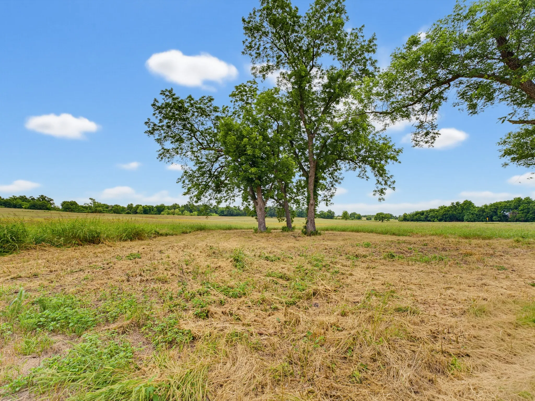 Unimproved Land For Sale in Montague County , TBD 24.25 Acres Fm 1749, Forestburg, Texas 76239, 0, 0, Garage spaces, 0 Sqft, built in 2003, mls#21306143, Real Estate Agent in Forestburg, Homes For Sale in Montague county, Homes For Sale in Forestburg, Realtor in Forestburg Texas, Real Estate Brokerage Independent Realty Texas, Luminita Cordes Realtor