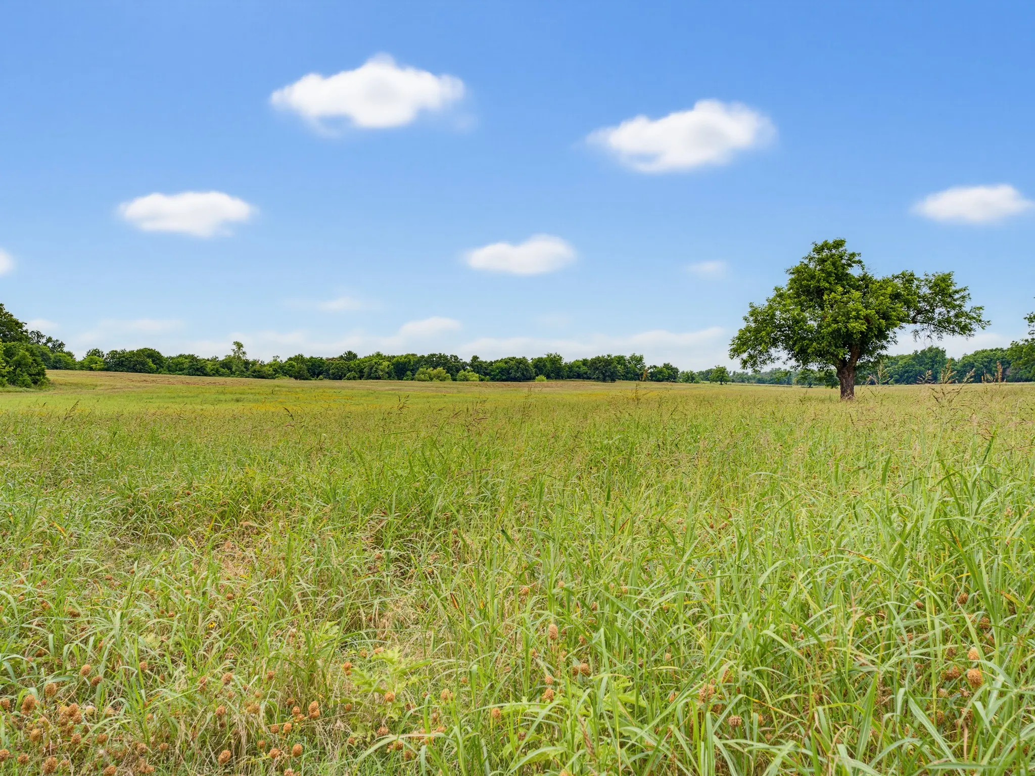 Unimproved Land For Sale in Montague County , TBD 24.25 Acres Fm 1749, Forestburg, Texas 76239, 0, 0, Garage spaces, 0 Sqft, built in 2003, mls#21306143, Real Estate Agent in Forestburg, Homes For Sale in Montague county, Homes For Sale in Forestburg, Realtor in Forestburg Texas, Real Estate Brokerage Independent Realty Texas, Luminita Cordes Realtor