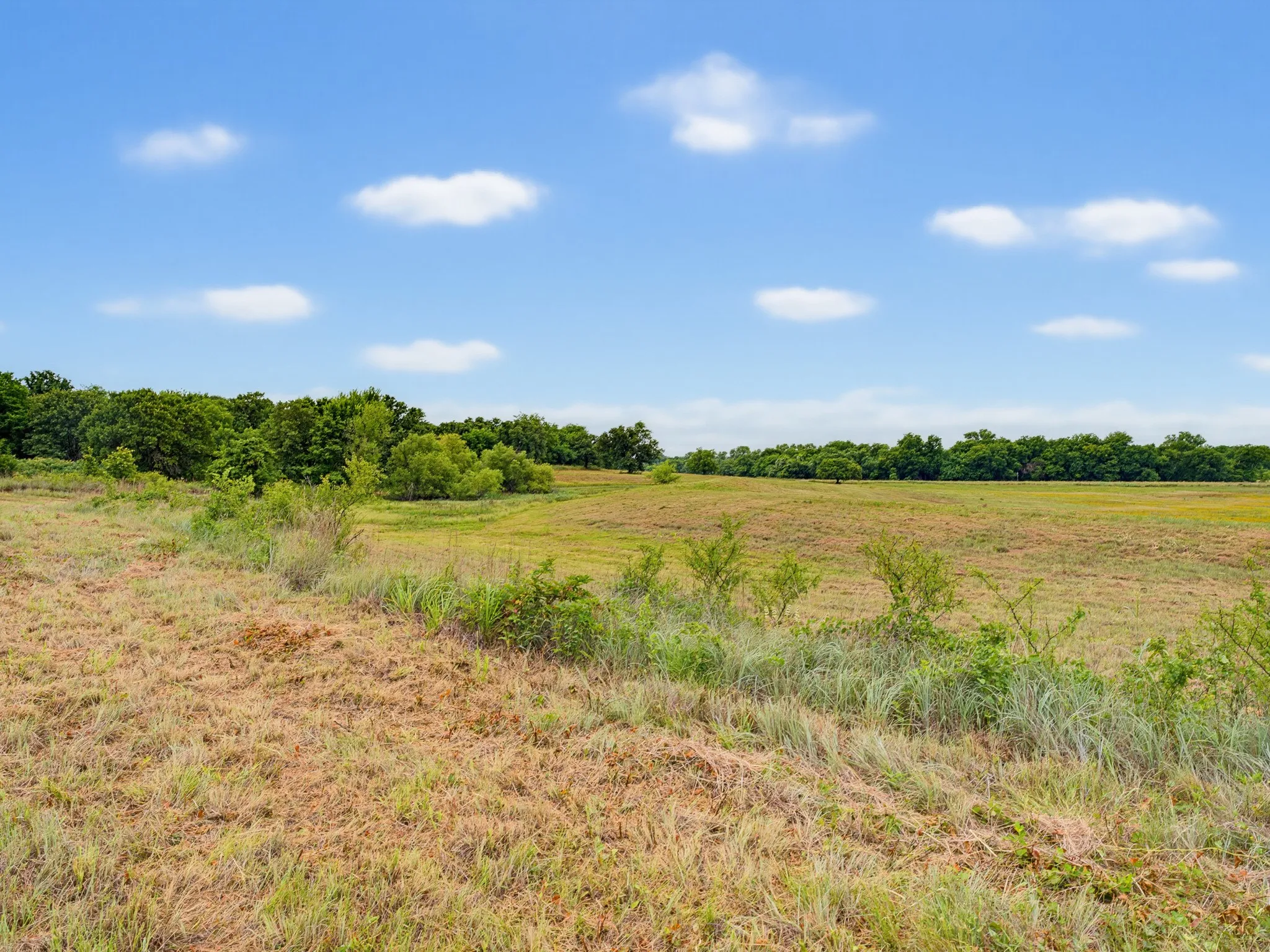 Unimproved Land For Sale in Montague County , TBD 24.25 Acres Fm 1749, Forestburg, Texas 76239, 0, 0, Garage spaces, 0 Sqft, built in 2003, mls#21306143, Real Estate Agent in Forestburg, Homes For Sale in Montague county, Homes For Sale in Forestburg, Realtor in Forestburg Texas, Real Estate Brokerage Independent Realty Texas, Luminita Cordes Realtor