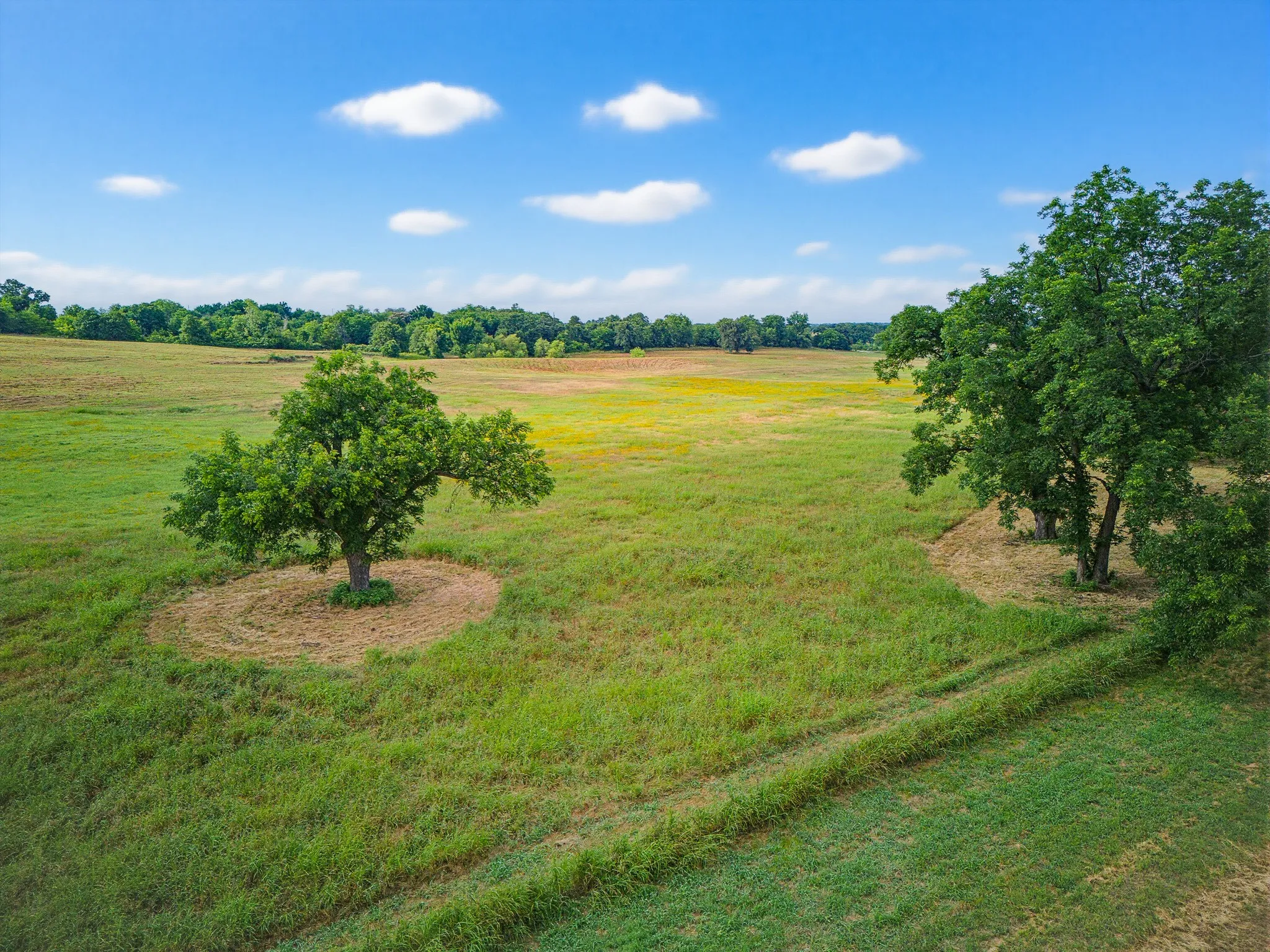 Unimproved Land For Sale in Montague County , TBD 24.25 Acres Fm 1749, Forestburg, Texas 76239, 0, 0, Garage spaces, 0 Sqft, built in 2003, mls#21306143, Real Estate Agent in Forestburg, Homes For Sale in Montague county, Homes For Sale in Forestburg, Realtor in Forestburg Texas, Real Estate Brokerage Independent Realty Texas, Luminita Cordes Realtor
