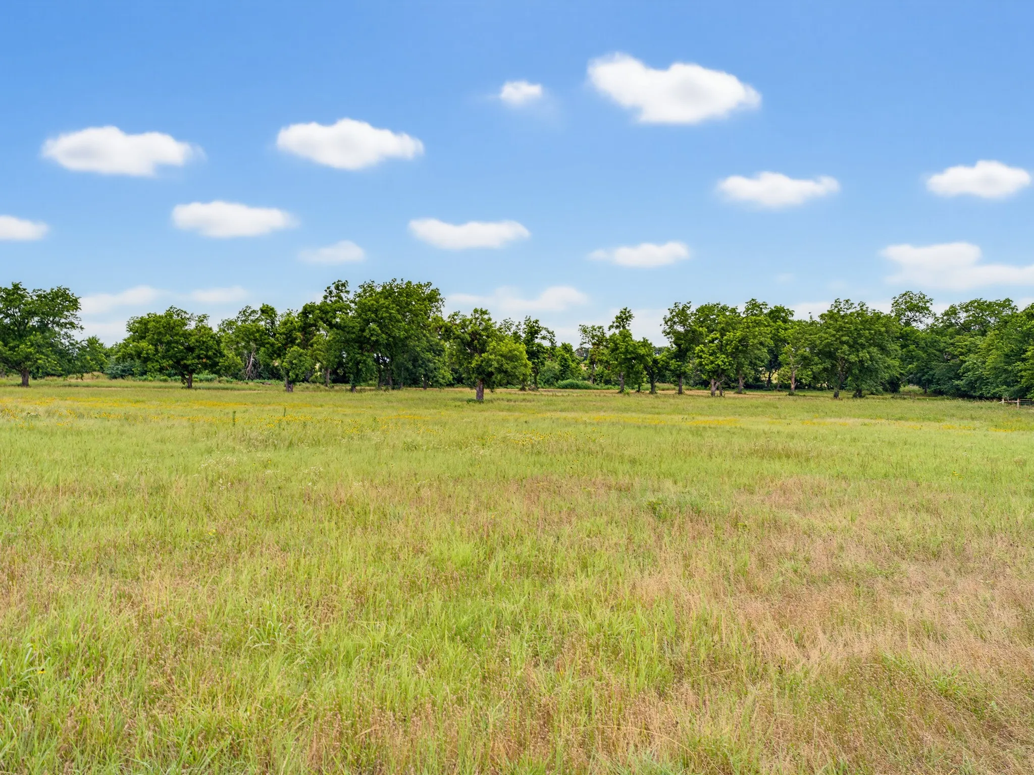 Unimproved Land For Sale in Montague County , TBD 24.25 Acres Fm 1749, Forestburg, Texas 76239, 0, 0, Garage spaces, 0 Sqft, built in 2003, mls#21306143, Real Estate Agent in Forestburg, Homes For Sale in Montague county, Homes For Sale in Forestburg, Realtor in Forestburg Texas, Real Estate Brokerage Independent Realty Texas, Luminita Cordes Realtor