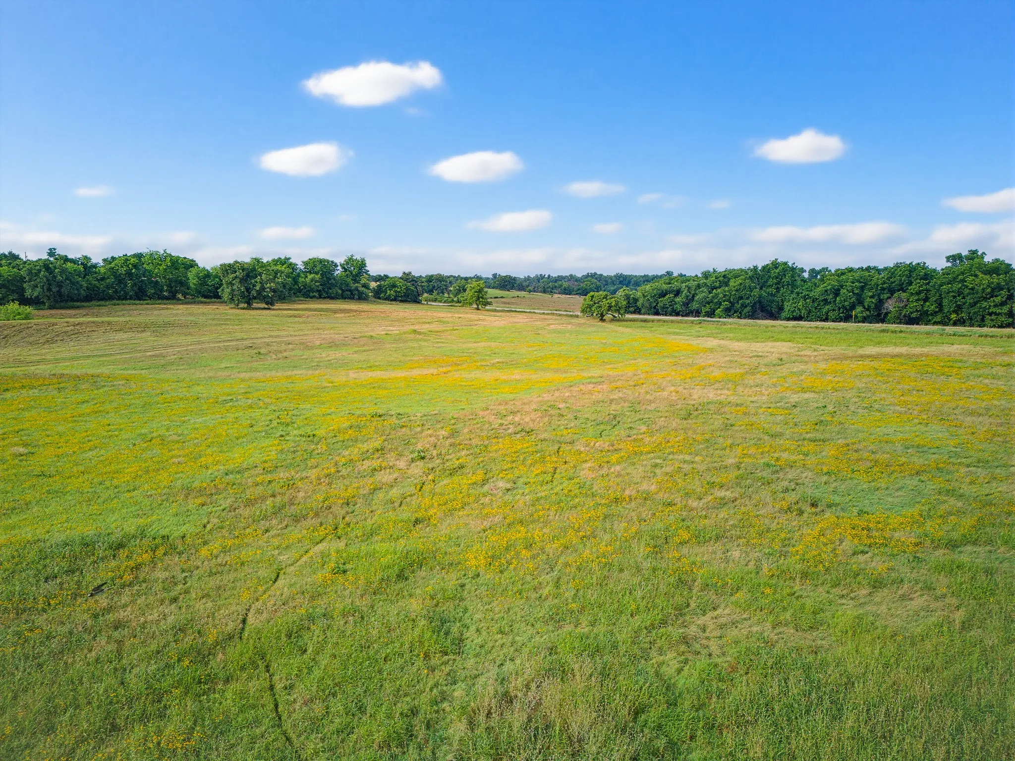 Unimproved Land For Sale in Montague County , TBD 24.25 Acres Fm 1749, Forestburg, Texas 76239, 0, 0, Garage spaces, 0 Sqft, built in 2003, mls#21306143, Real Estate Agent in Forestburg, Homes For Sale in Montague county, Homes For Sale in Forestburg, Realtor in Forestburg Texas, Real Estate Brokerage Independent Realty Texas, Luminita Cordes Realtor