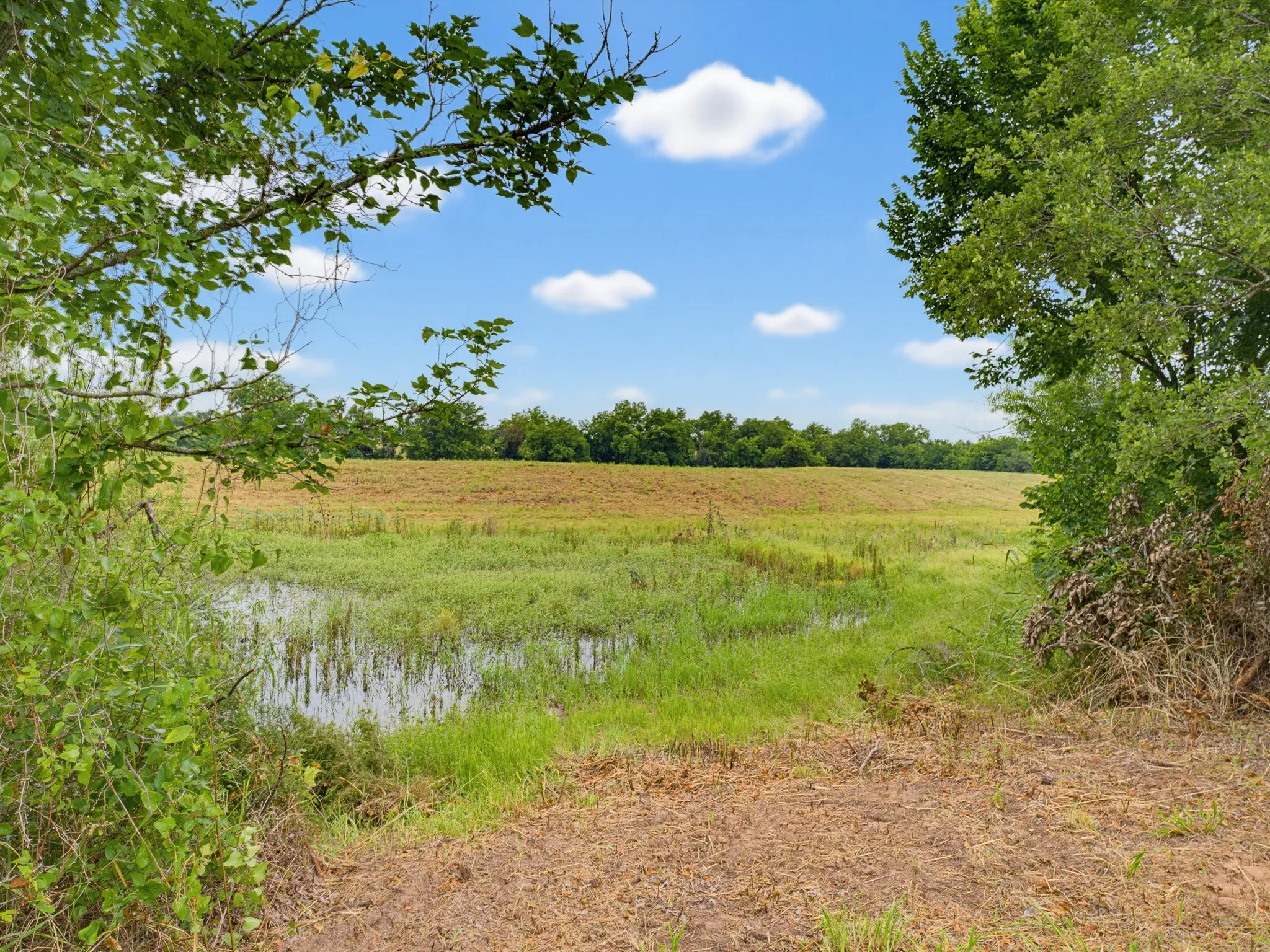 Unimproved Land For Sale in Montague County , TBD 24.25 Acres Fm 1749, Forestburg, Texas 76239, 0, 0, Garage spaces, 0 Sqft, built in 2003, mls#21306143, Real Estate Agent in Forestburg, Homes For Sale in Montague county, Homes For Sale in Forestburg, Realtor in Forestburg Texas, Real Estate Brokerage Independent Realty Texas, Luminita Cordes Realtor