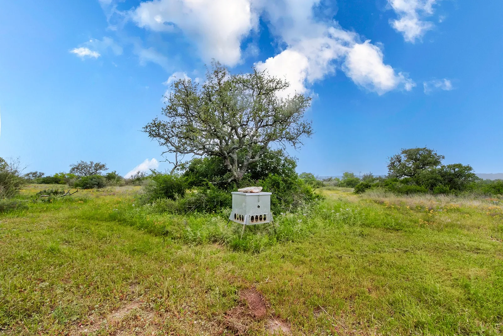 Ranch For Sale in Brown County , 9701 County Road 201, Brownwood, Texas 76801, 0, 0, Garage spaces, 0 Sqft, built in 0, mls#21306365, Real Estate Agent in Brownwood, Homes For Sale in Brown county, Homes For Sale in Brownwood, Realtor in Brownwood Texas, Real Estate Brokerage Independent Realty Texas, Luminita Cordes Realtor